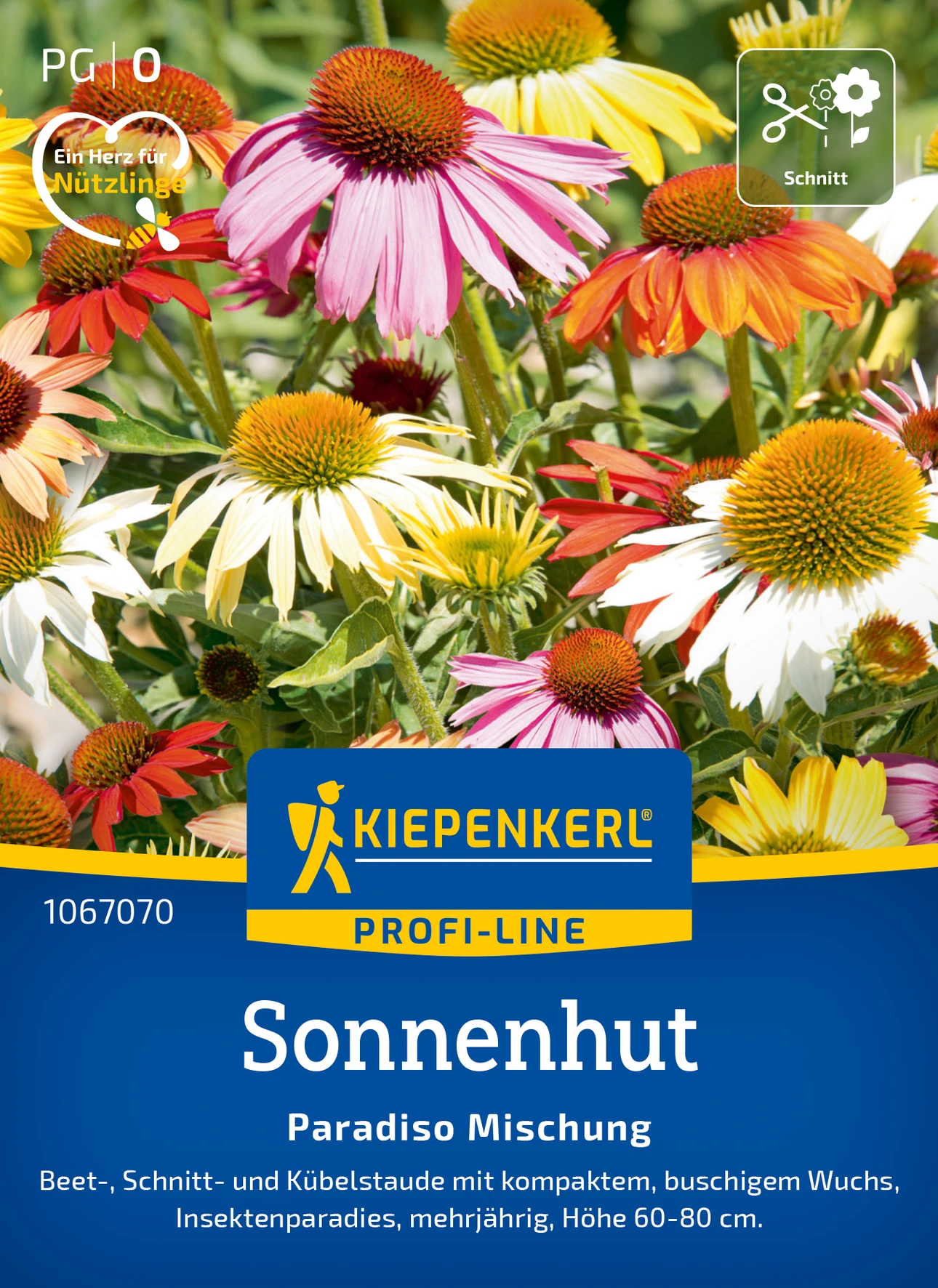 Kiepenkerl Sonnenhut Paradiso Mischung