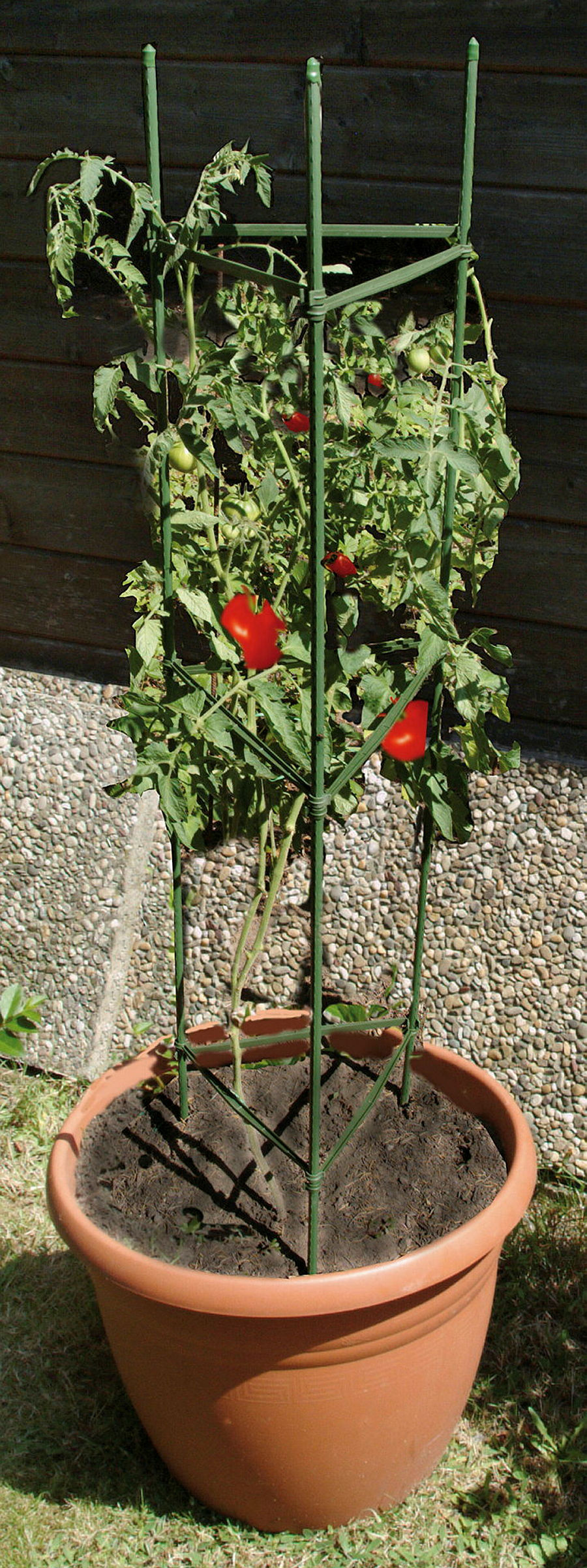 Tomatenreifeturm Classic, Ø 35-40cm,150x30cm, grün