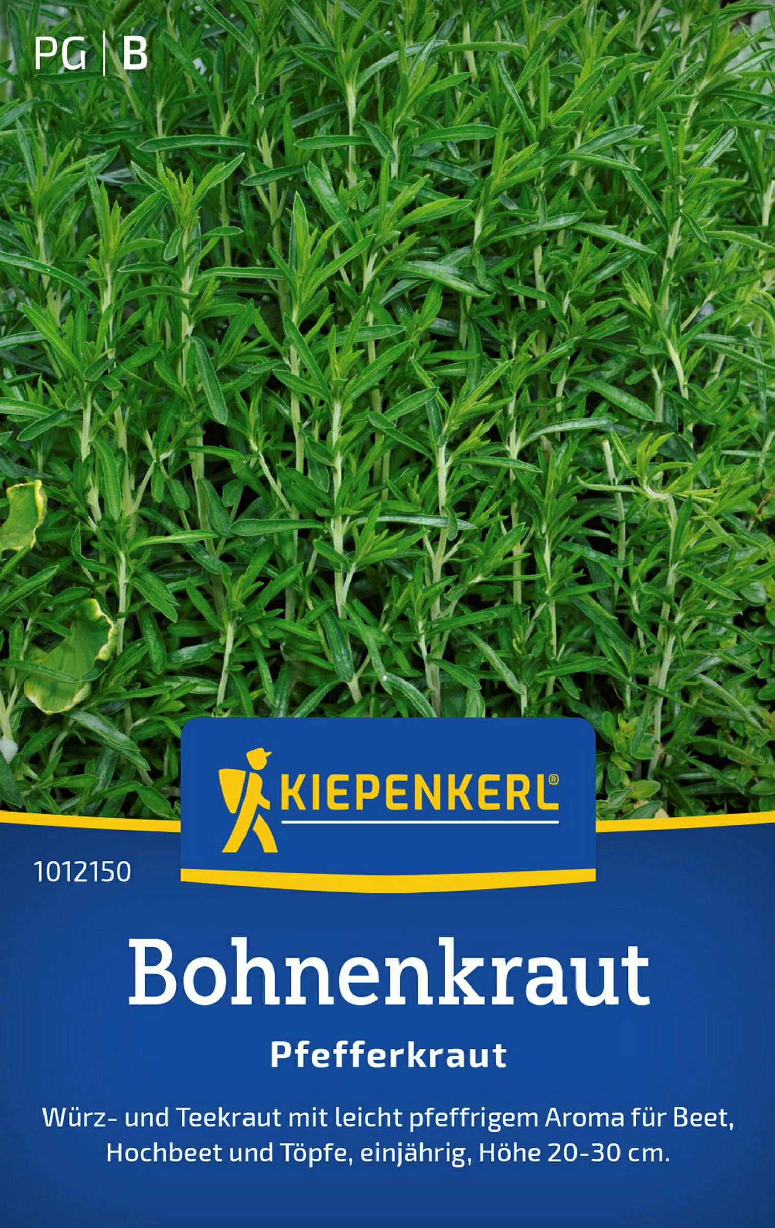 Kiepenkerl Bohnenkraut Pfefferkraut