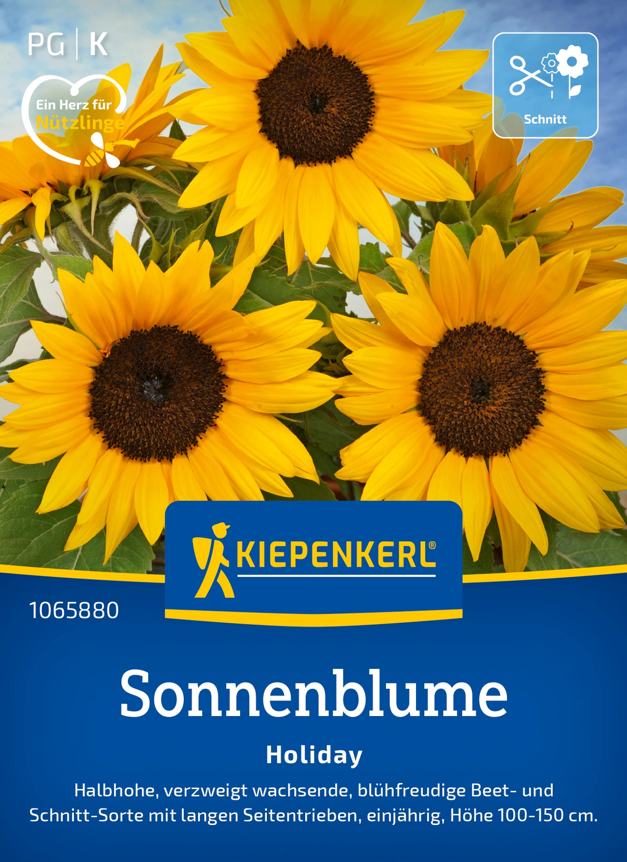 Kiepenkerl Sonnenblume Holiday