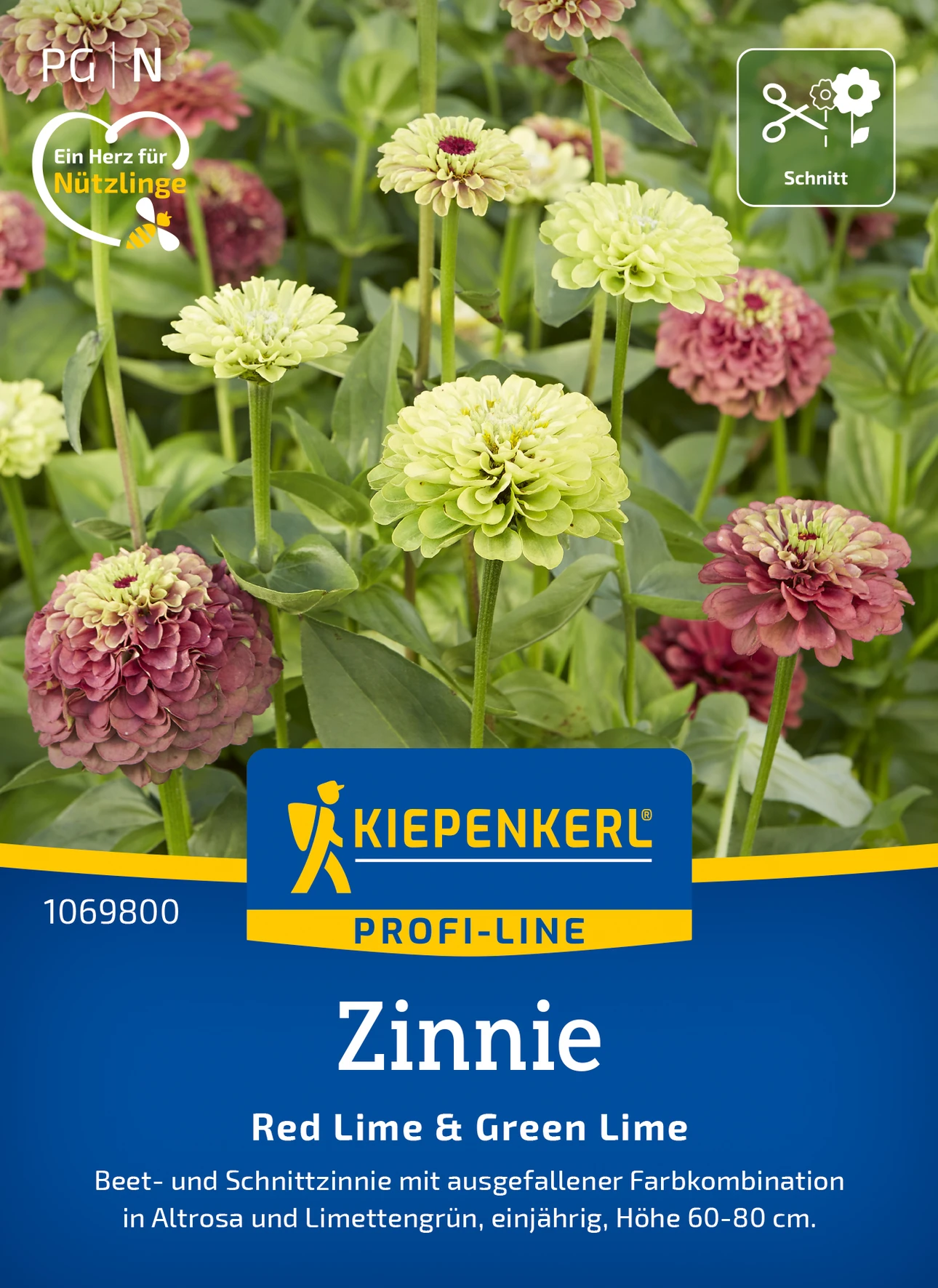 Kiepenkerl Zinnie Red Lime + Green Lime