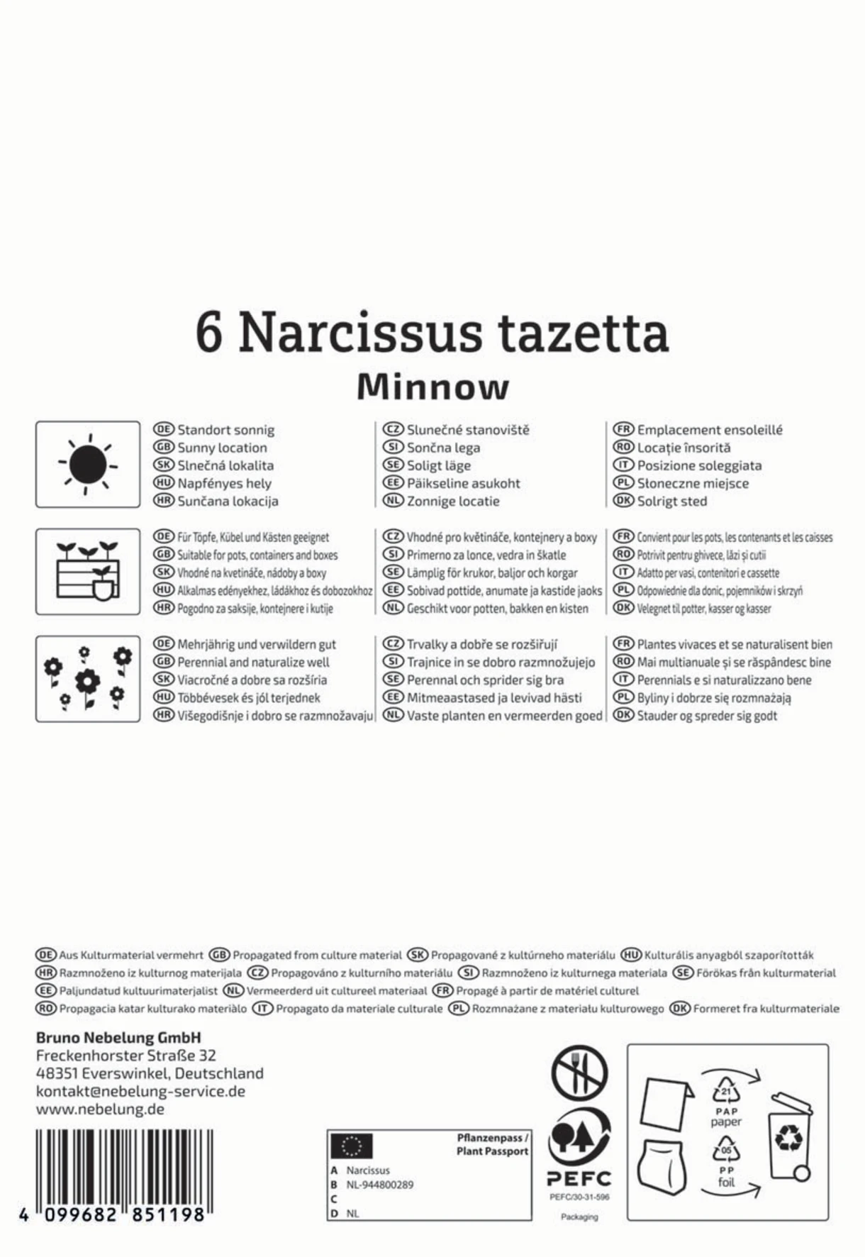 Tazetten-Narzisse Minnow