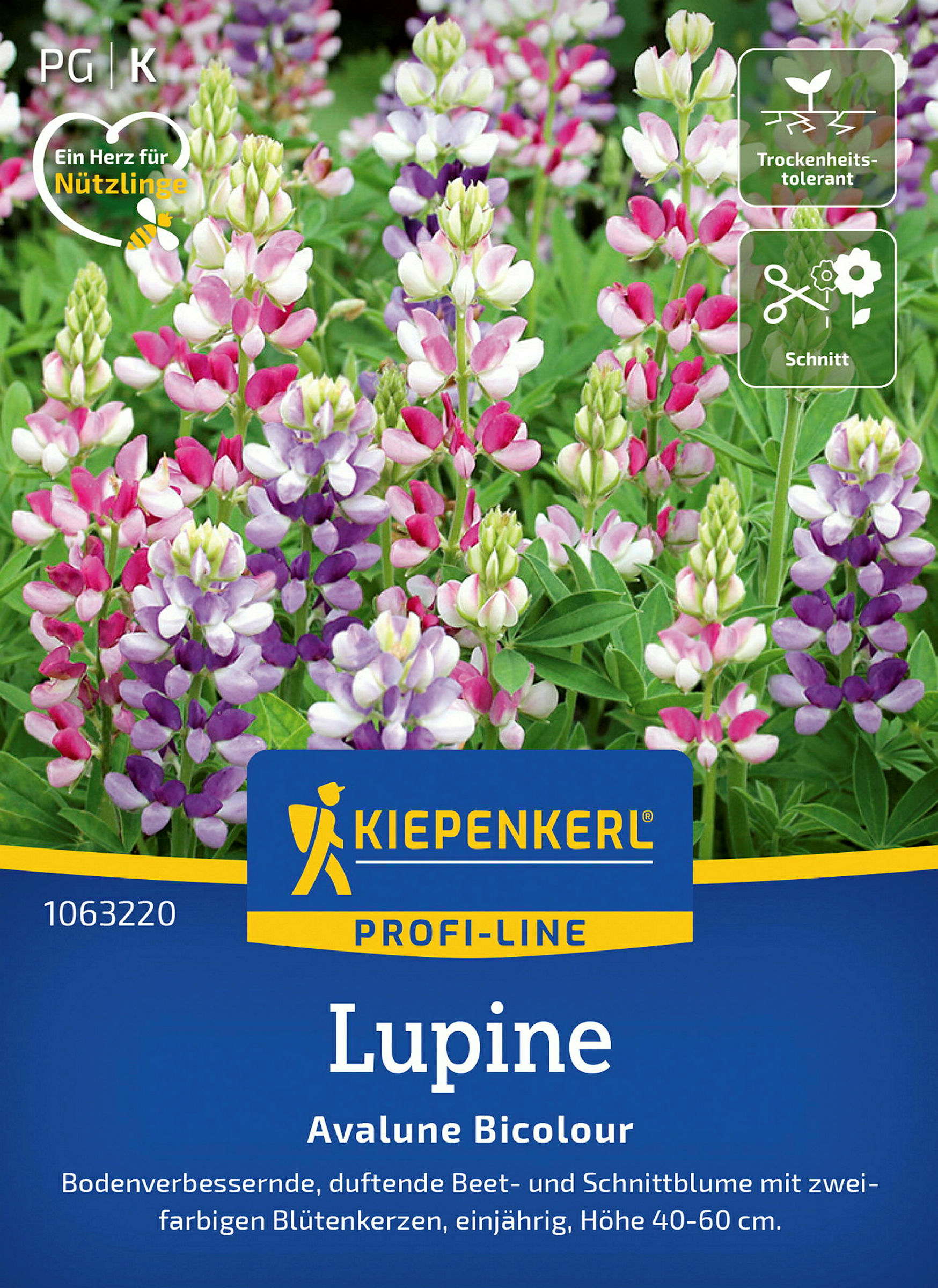 Kiepenkerl Lupine Avalune Bicolour