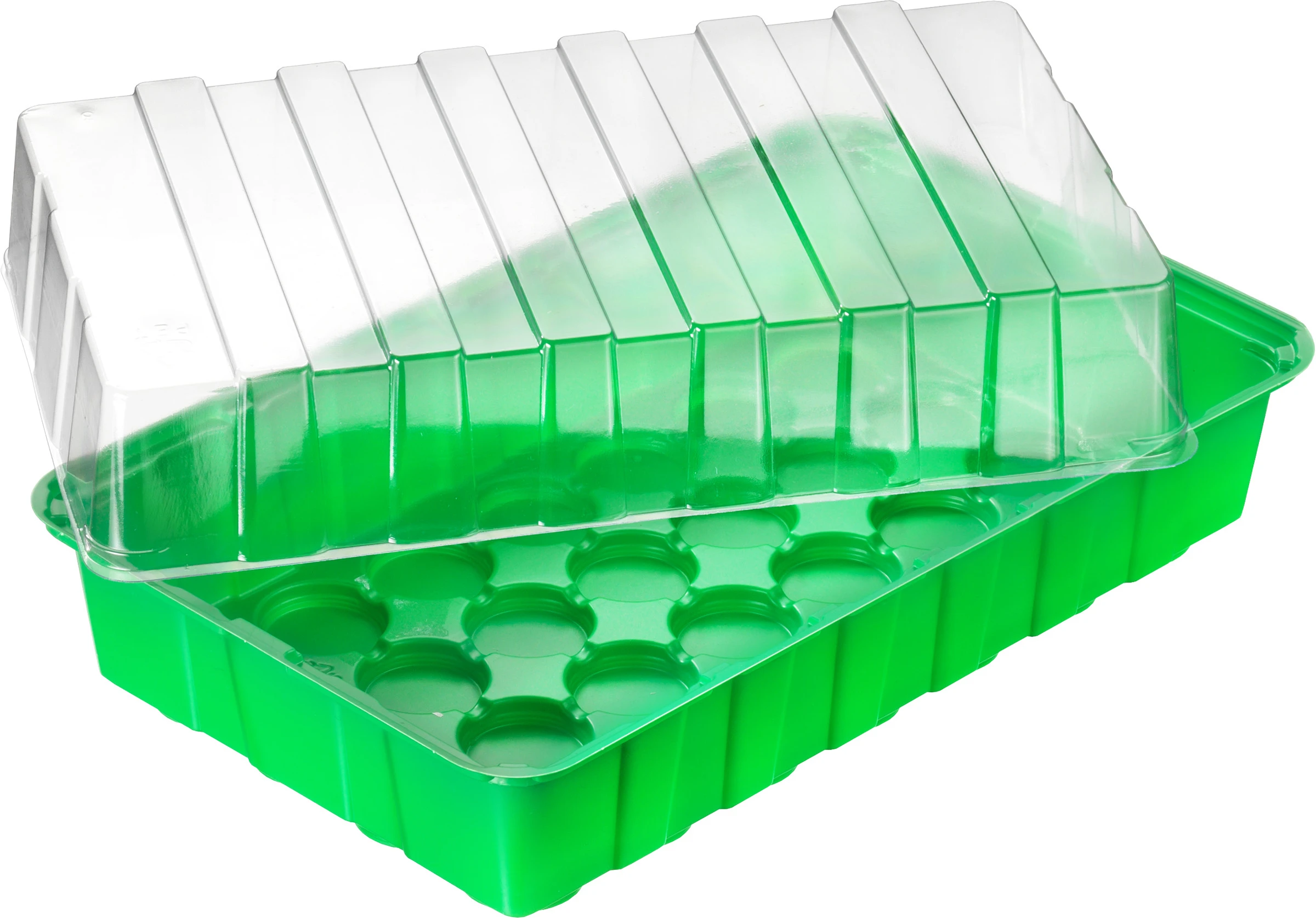 Zimmer-Treibhaus 36x22cm
