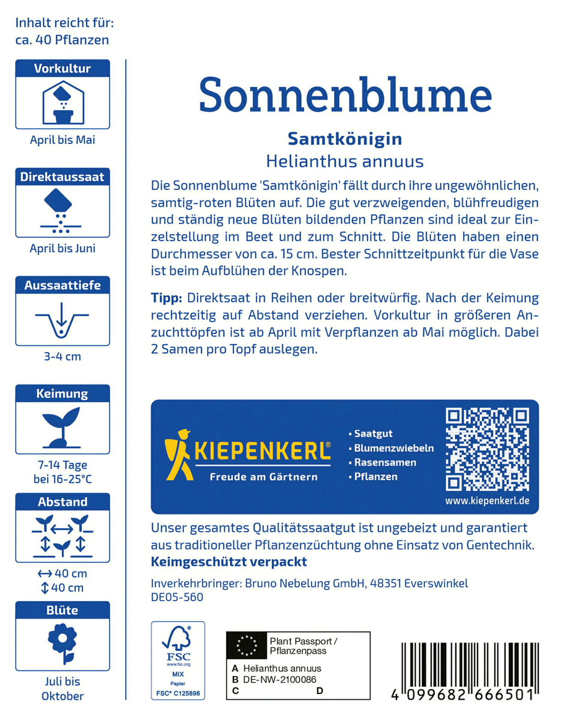 Kiepenkerl Sonnenblume Samtkönigin