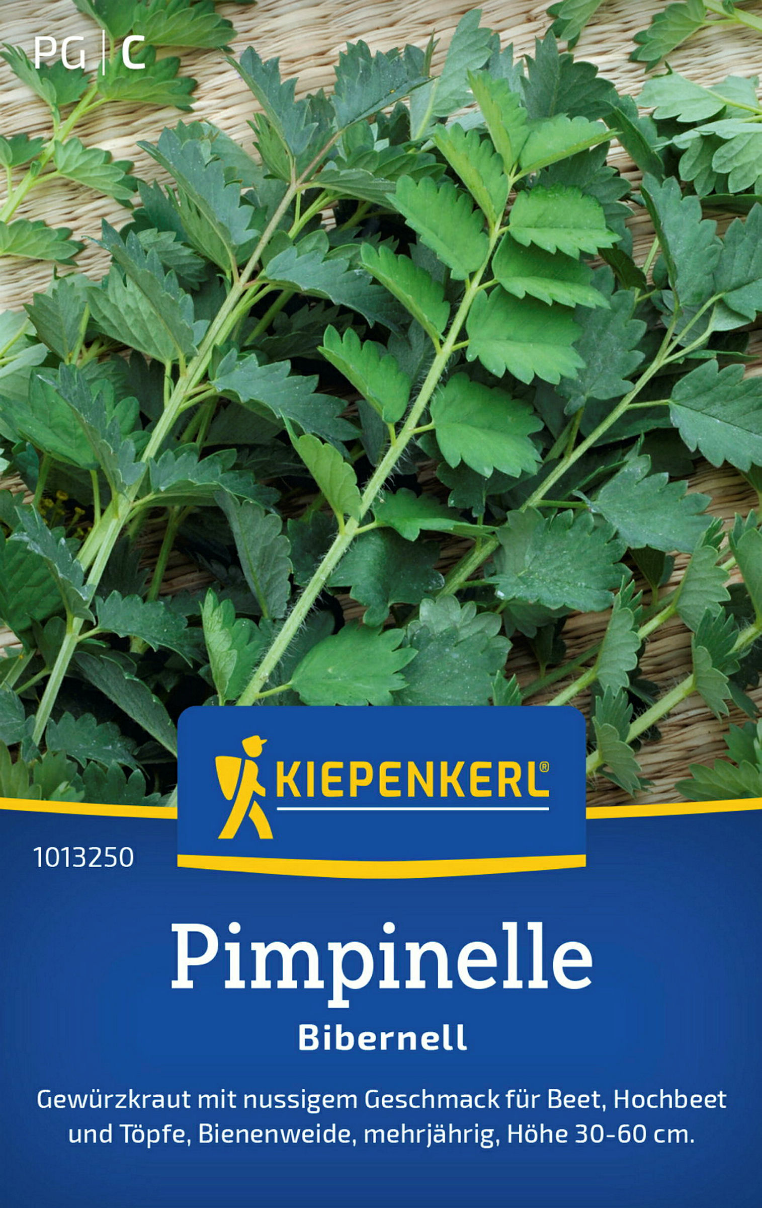 Kiepenkerl Pimpinelle Bibernell