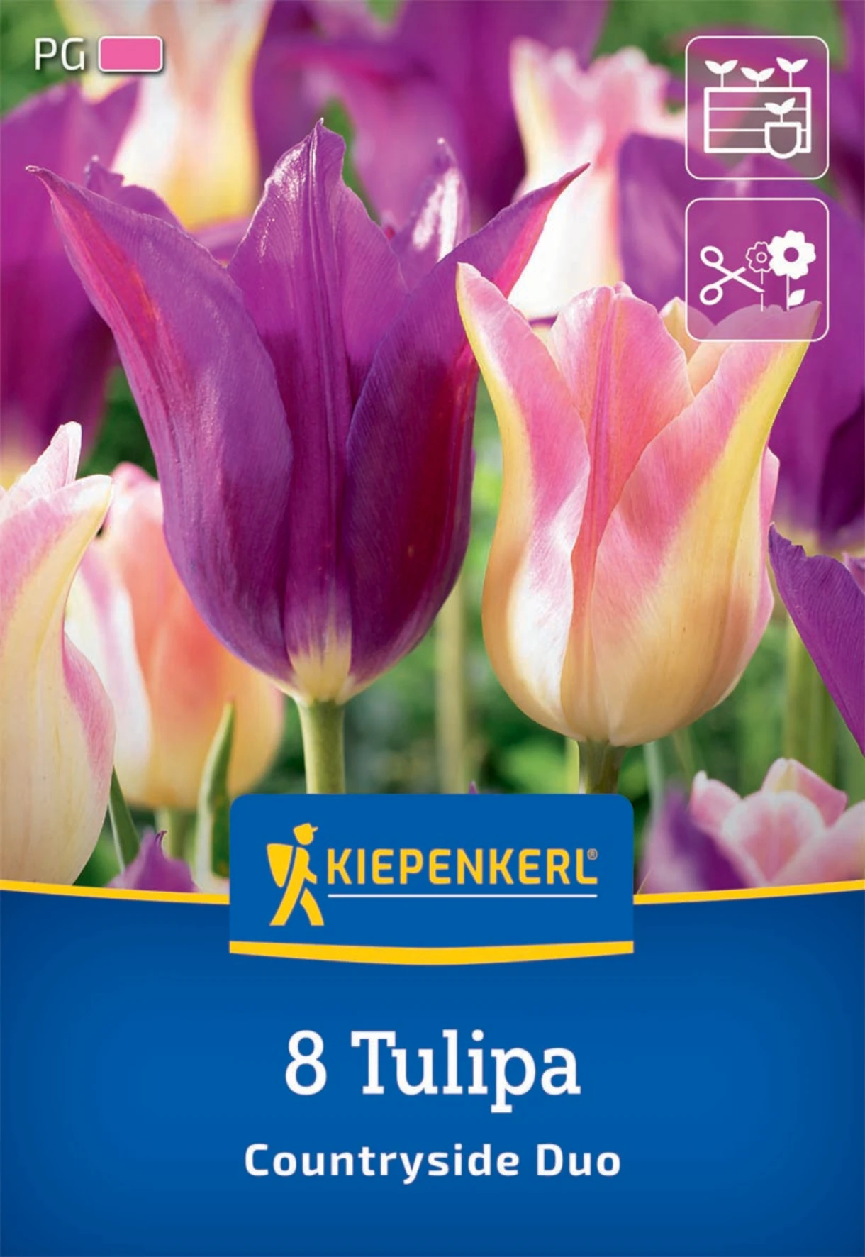 Tulpenmischung Countryside Duo