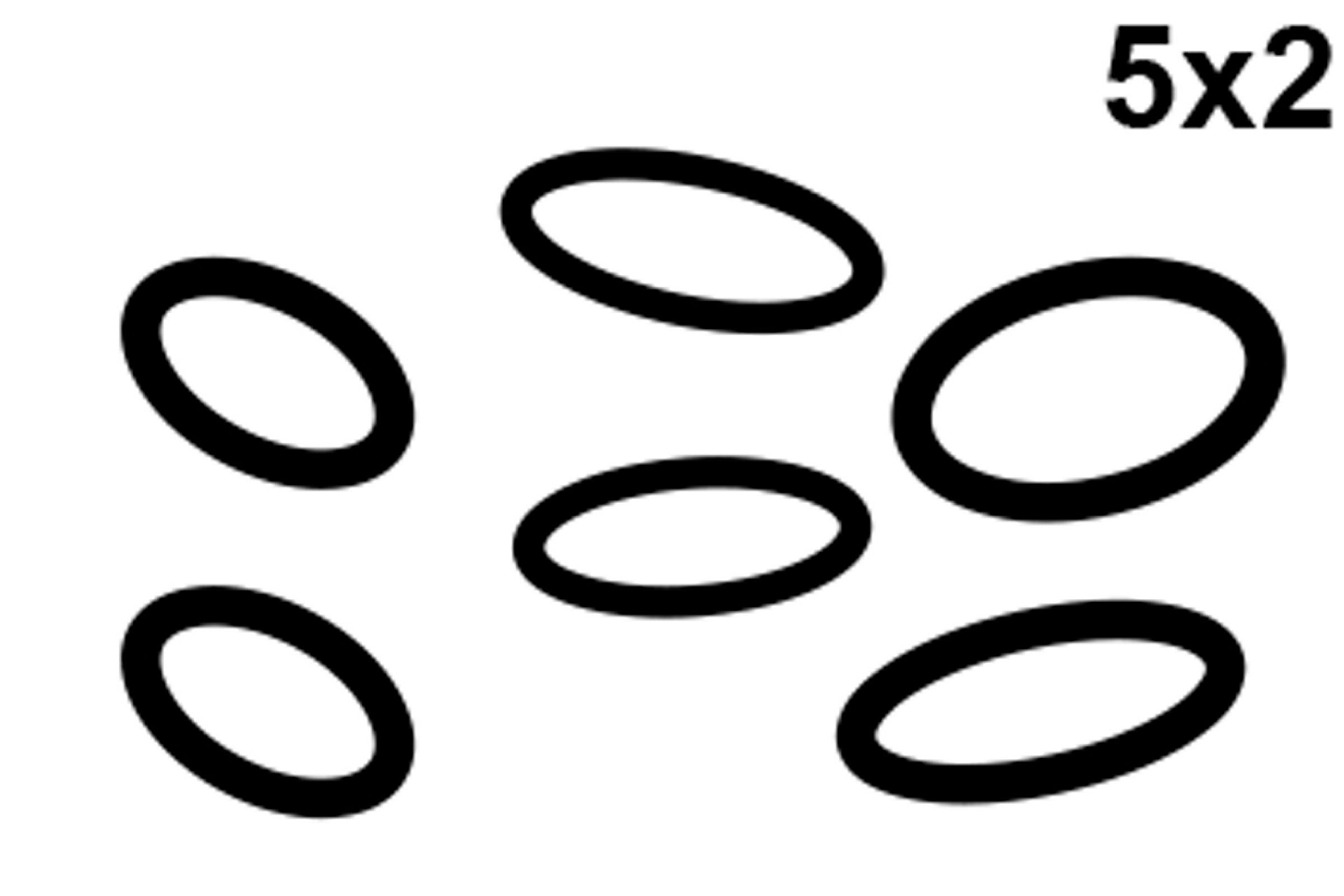 O-Ring-Sortiment, Gummi, diverse Größen (5x2)