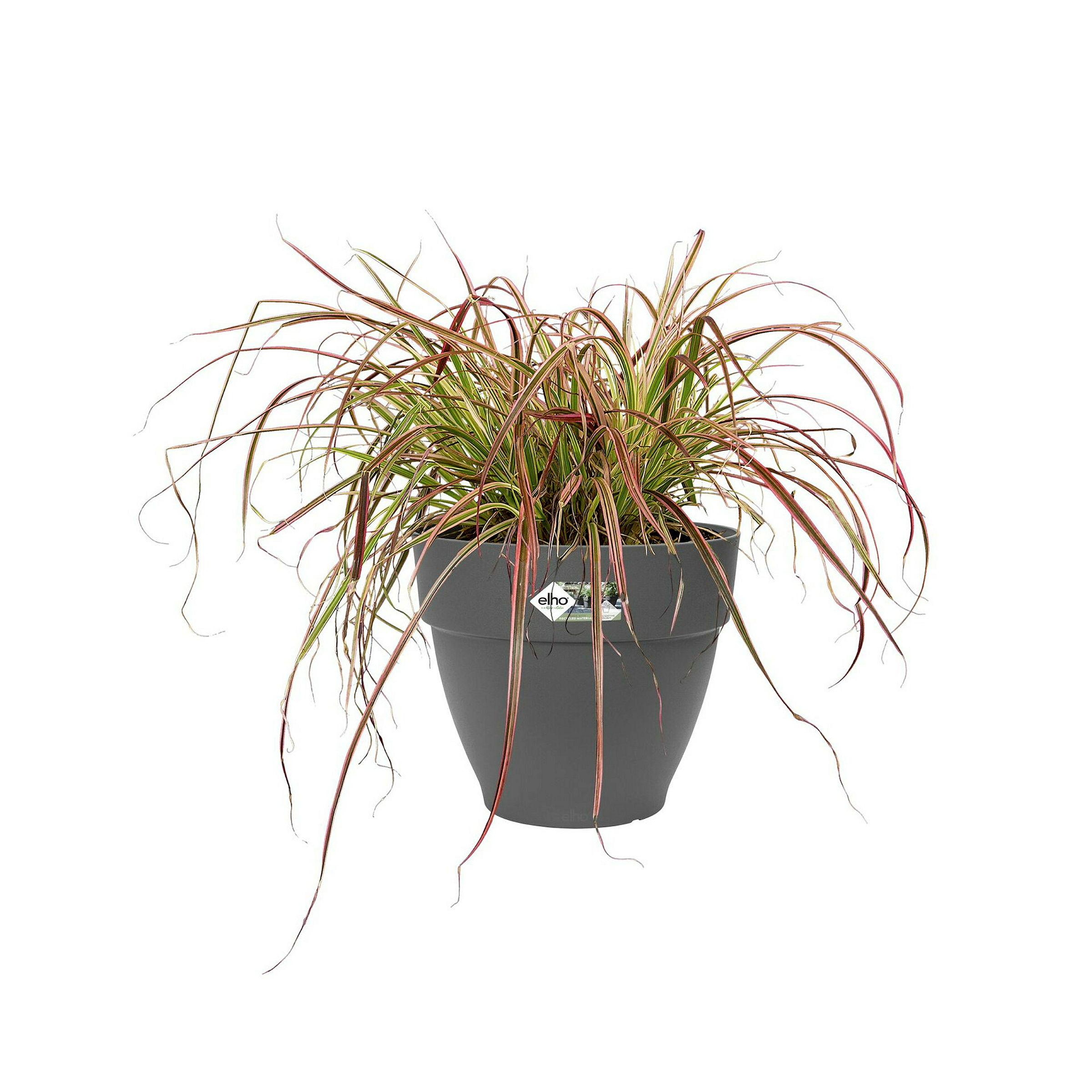 Elho Vibia Campana 30 - Schwarz - L 30 x B 29.8 x H 26 cm - Außen - 100% Re
