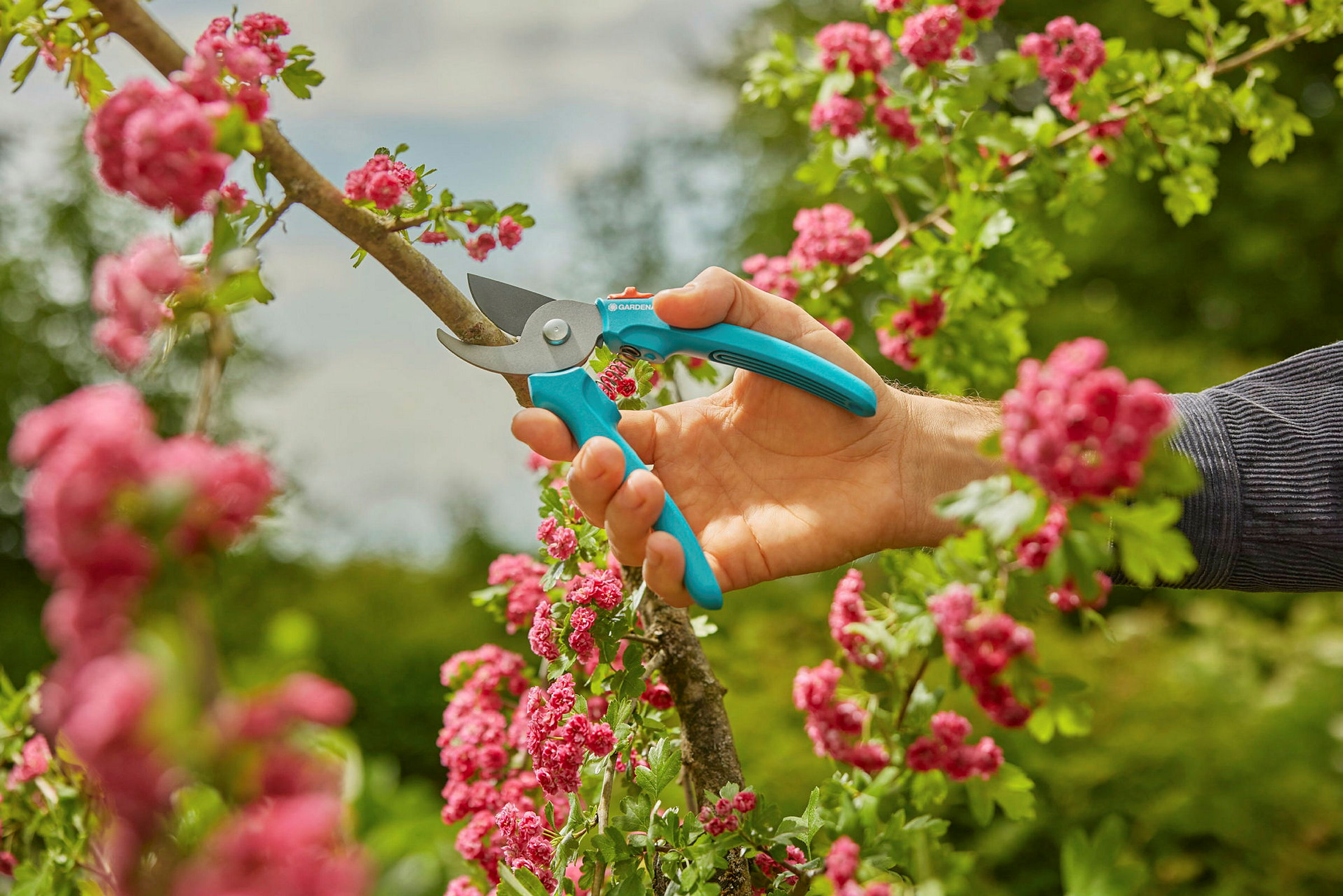 GARDENA Astschere EasyCut L Display Set, Bypass-Schneidprinzip