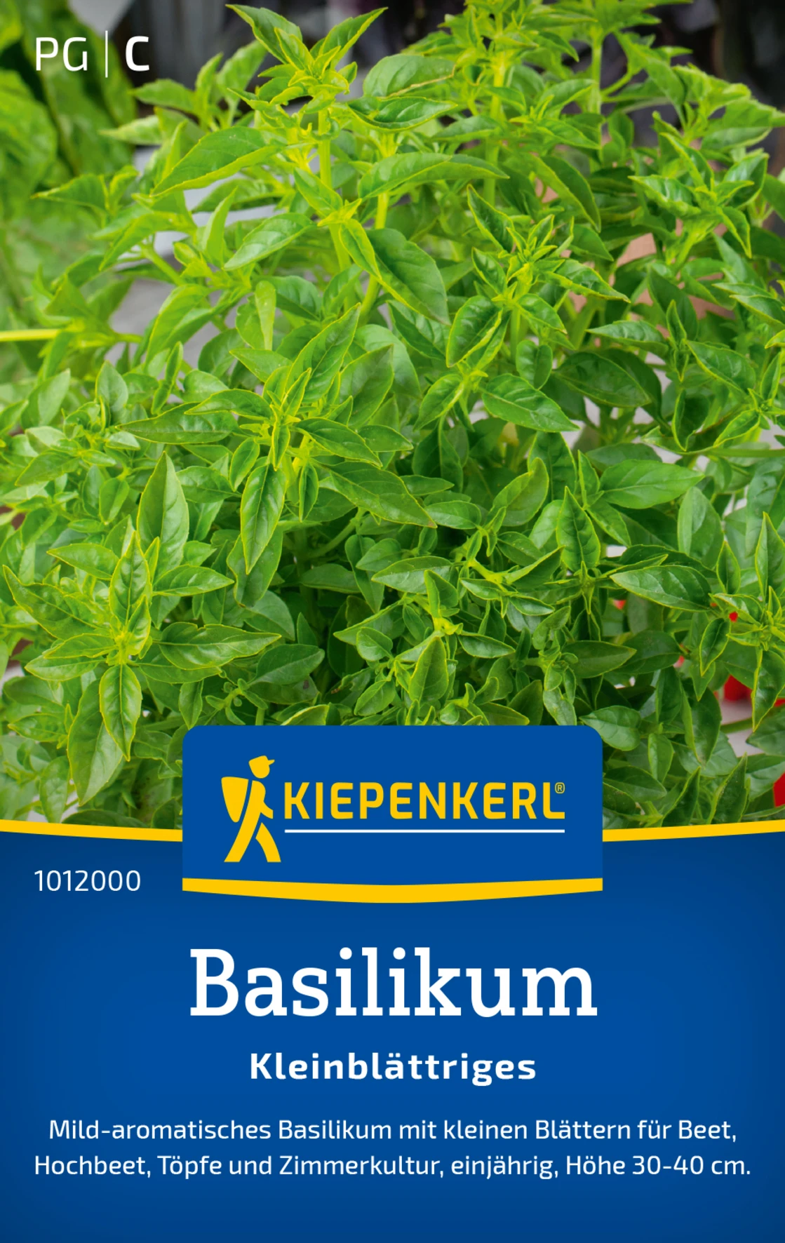 Kiepenkerl Basilikum Kleinblättriges