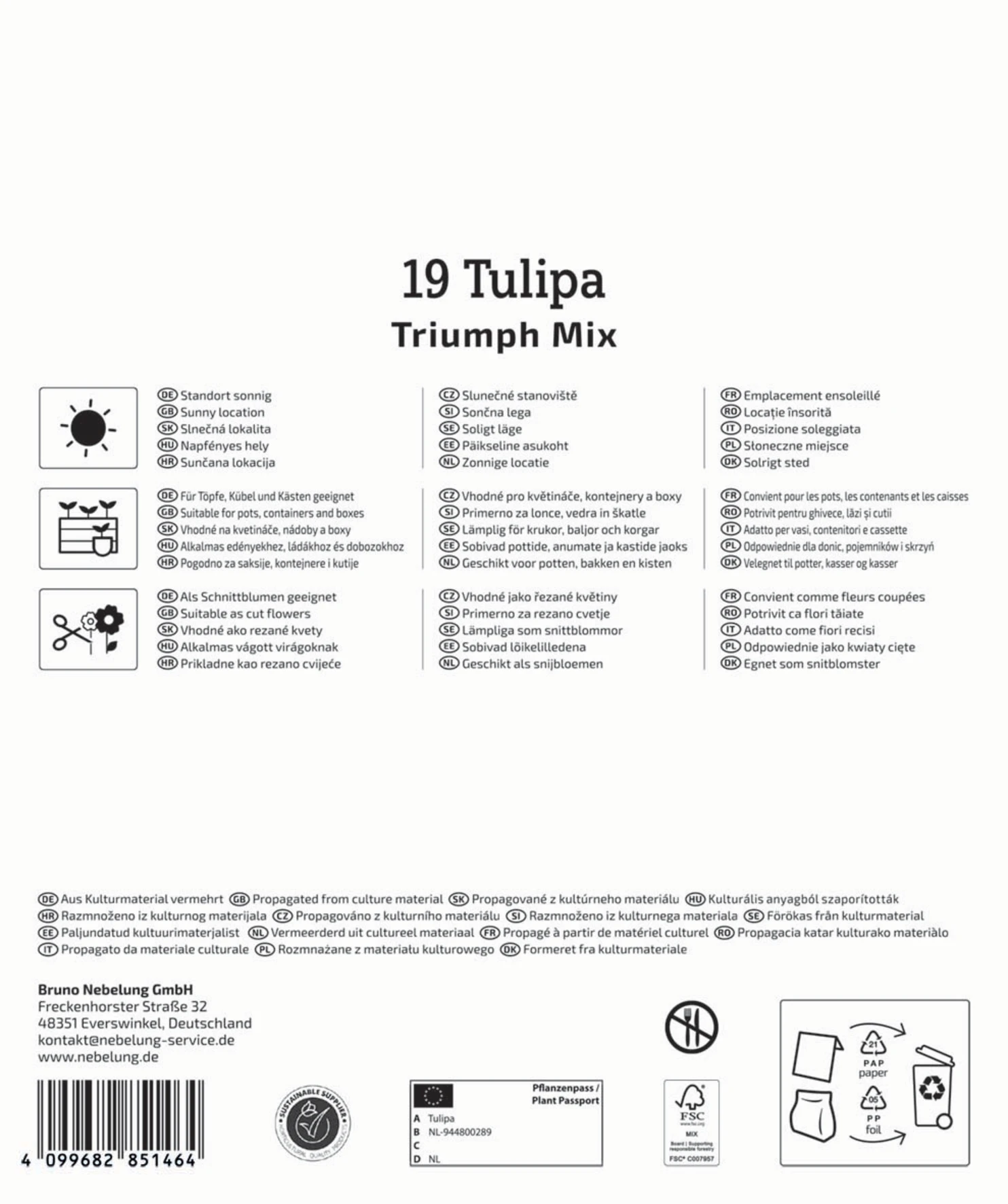 Mega-Pack Triumph-Tulpen Mischung