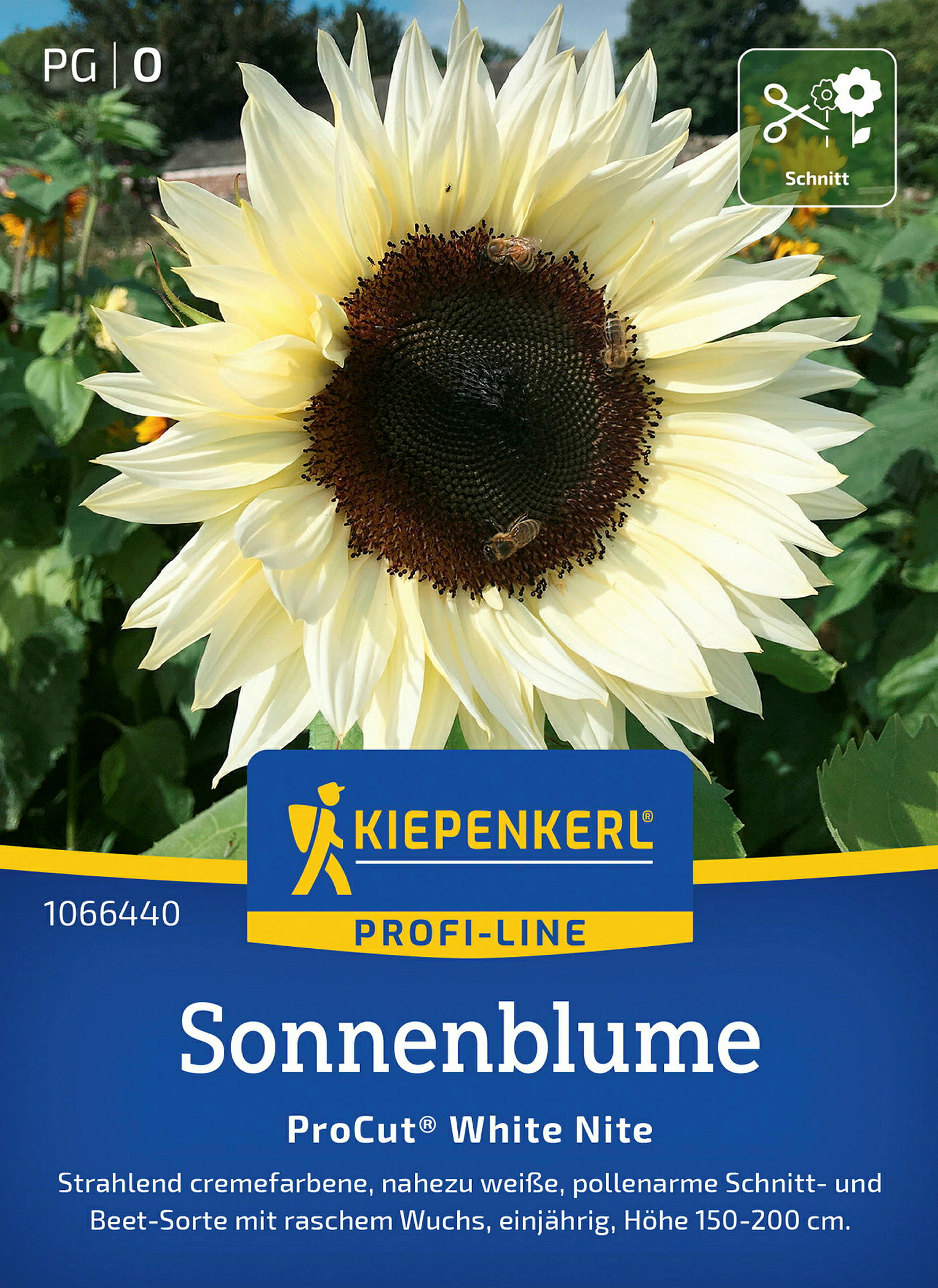 Kiepenkerl Sonnenblume ProCut® White Nite, F1