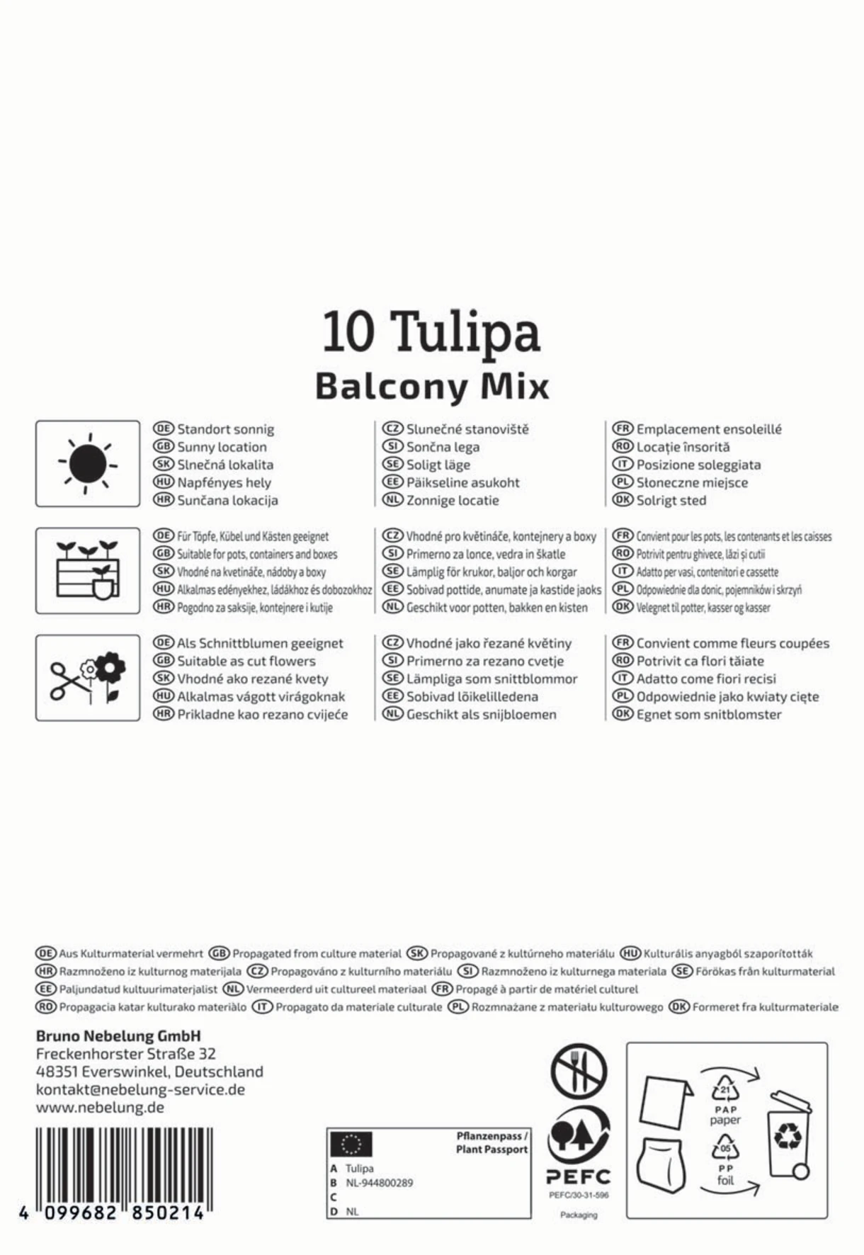 Greigii-Tulpen Balkonzauber Mix
