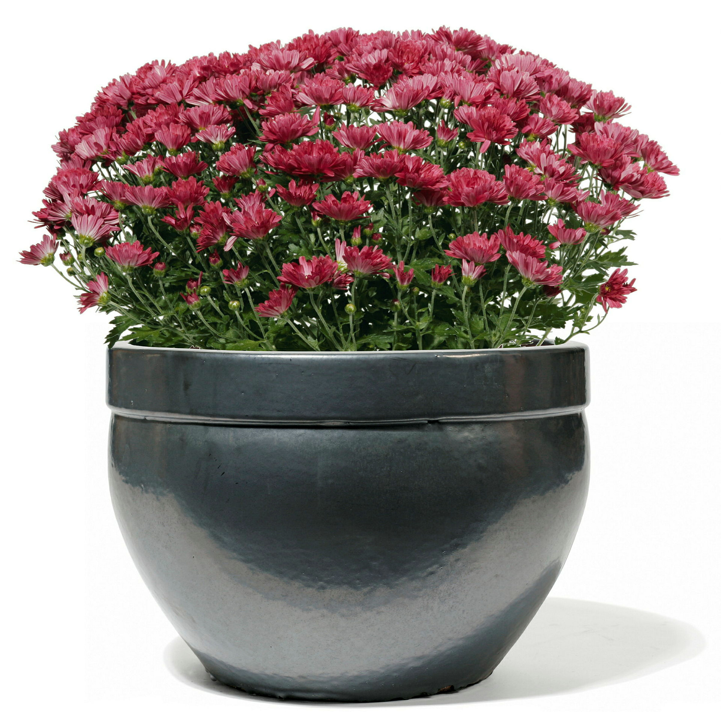 Kyros graphit glasiert 28cm