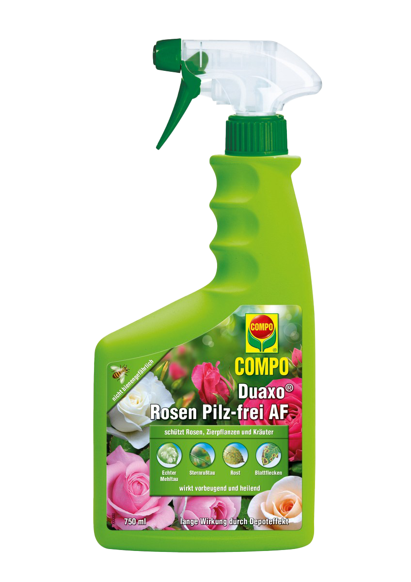 COMPO Duaxo Rosen Pilz-frei AF750 ml