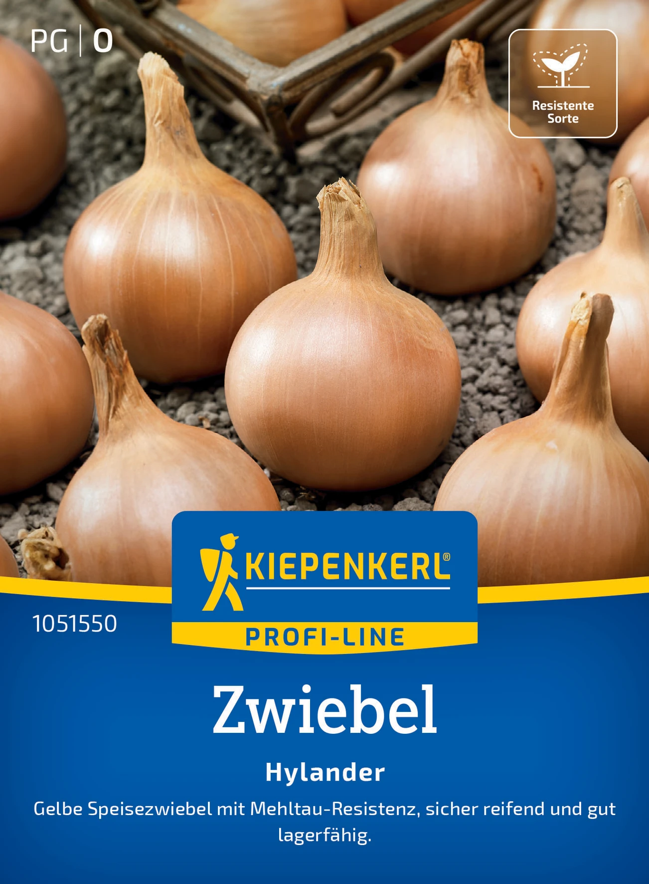 Kiepenkerl Zwiebel Hylander, F1