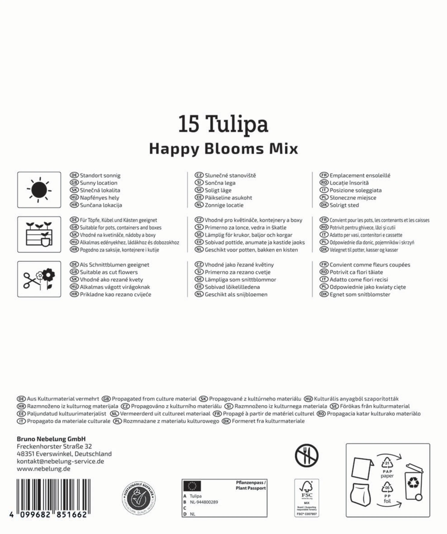 Mega-Pack Tulpenmischung Happy Bloom Mix