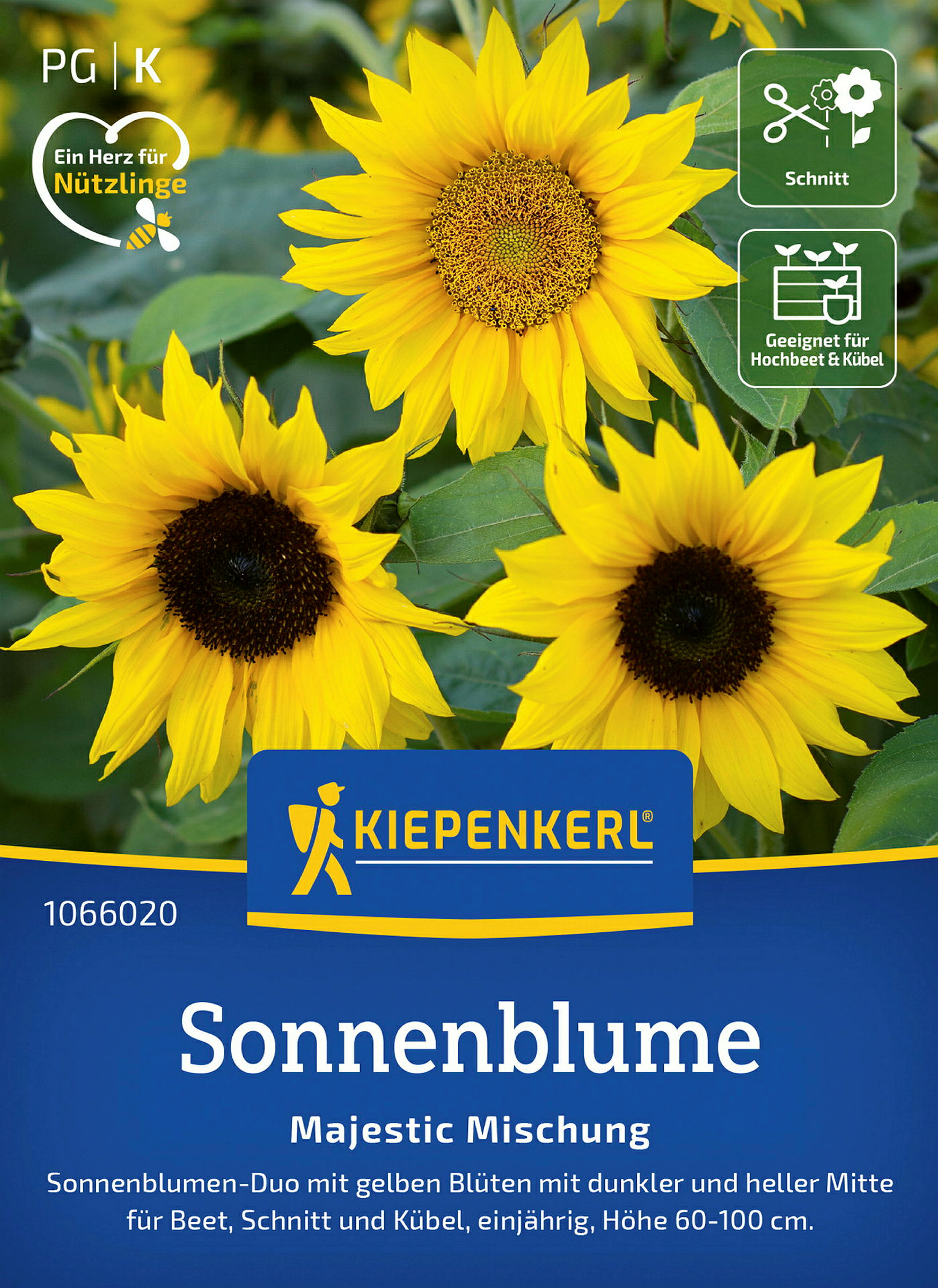Kiepenkerl Sonnenblume Majestic Mischung