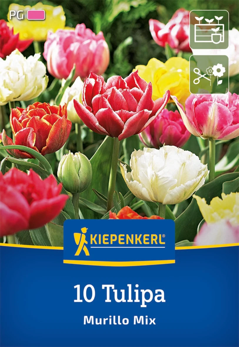 Gefüllte Frühe Tulpen Murillo Mix