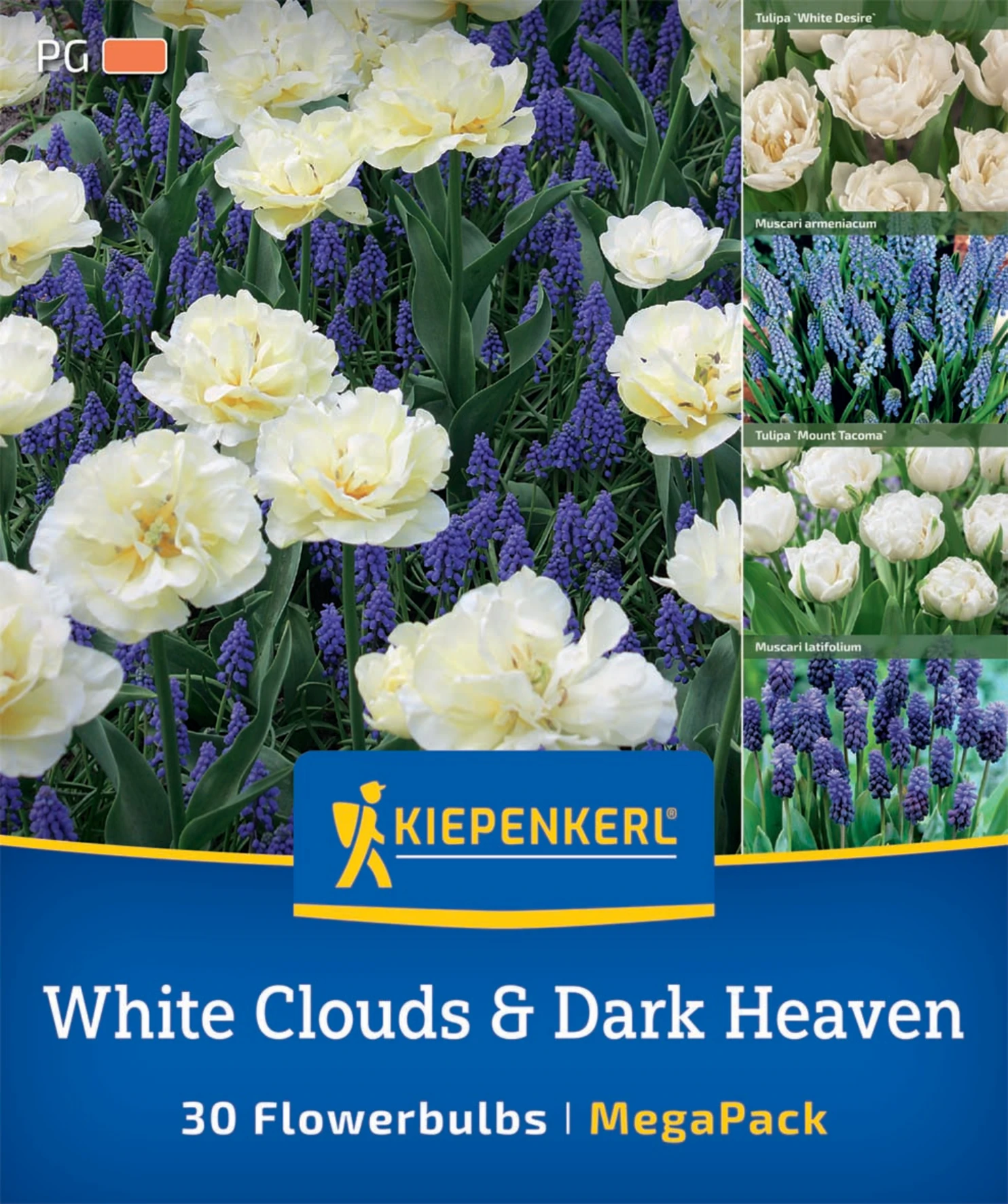 Mega-Pack Blumenzwiebelmischung White Cloud & Dark Heaven Mix