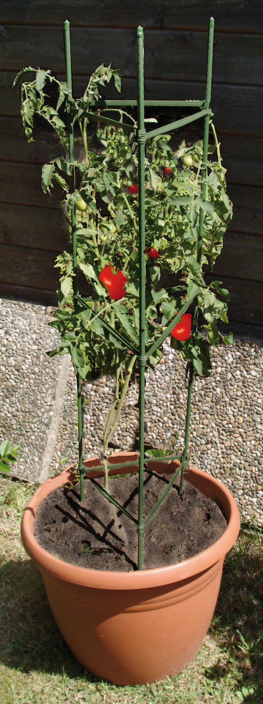 Tomatenreifeturm Classic, Ø 35-40cm,150x30cm, grün