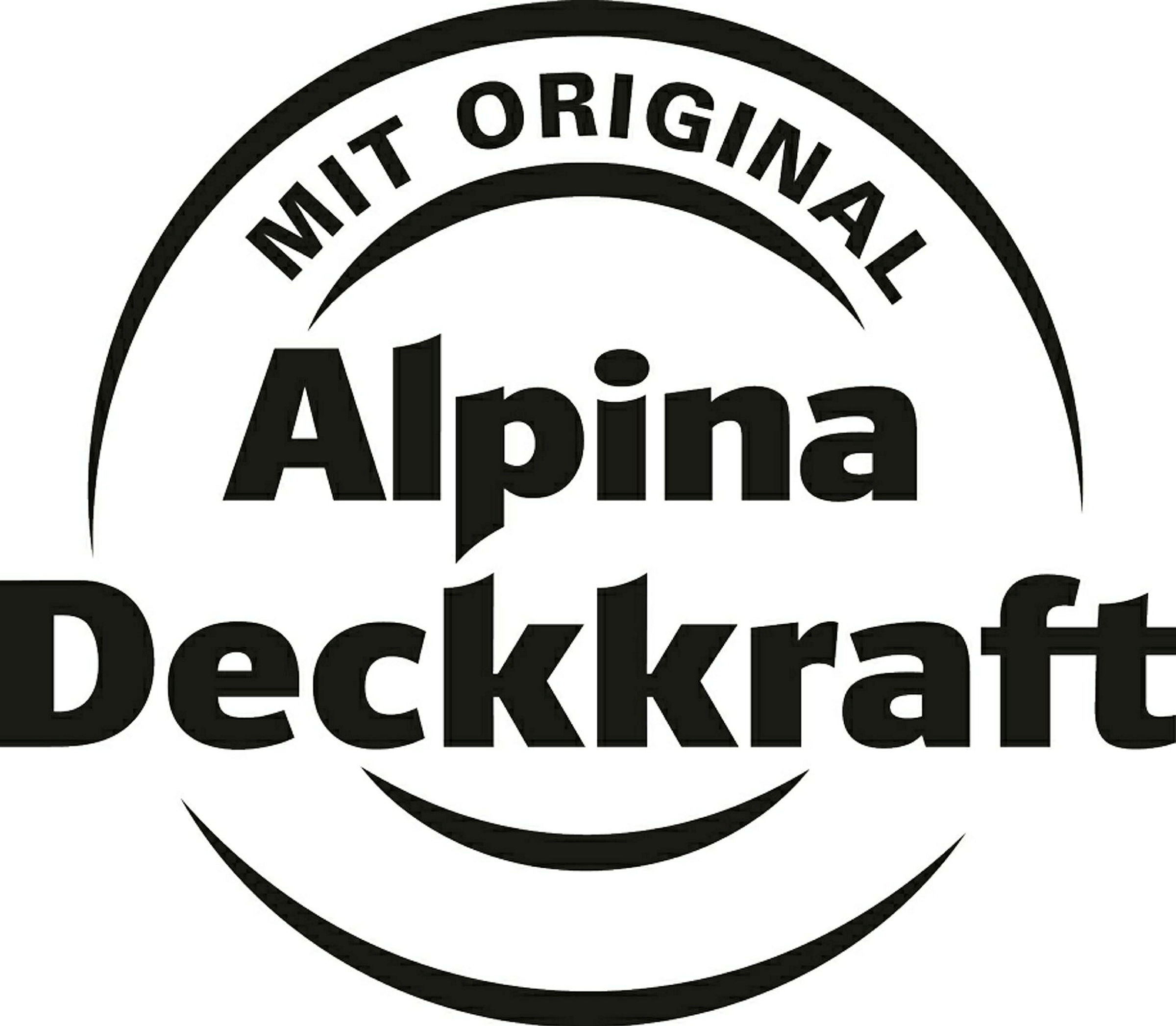 AP Weißlack für Heizkörper SM 300 ml