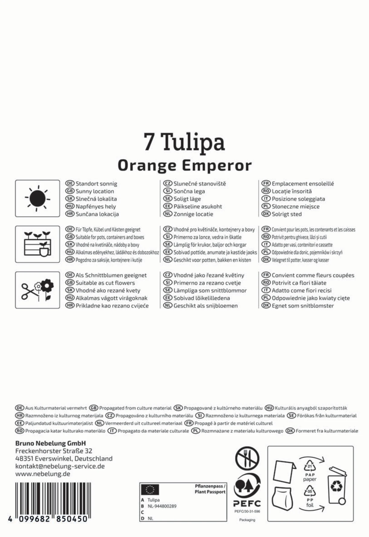 Fosteriana-Tulpe Orange Emperor