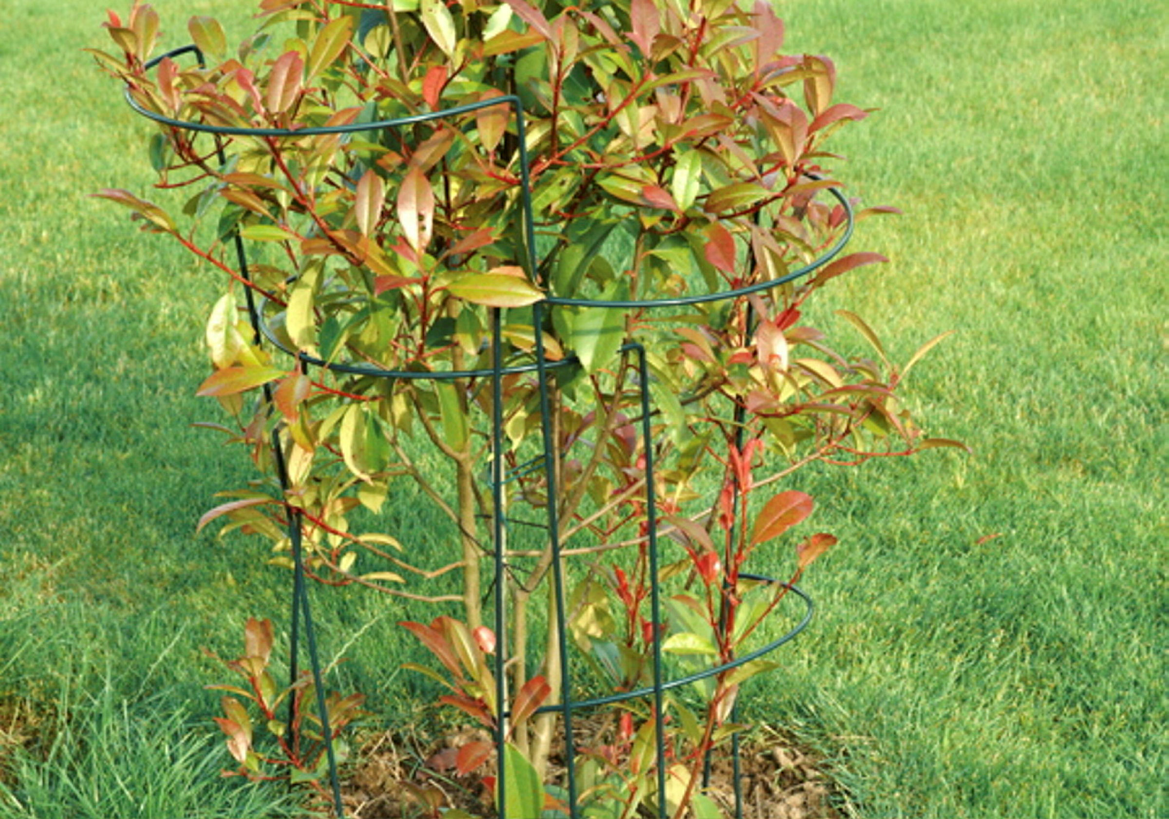 Busch- / Strauchstütze Classic, H:35cm,Stahldr,pulv.besch,grün
