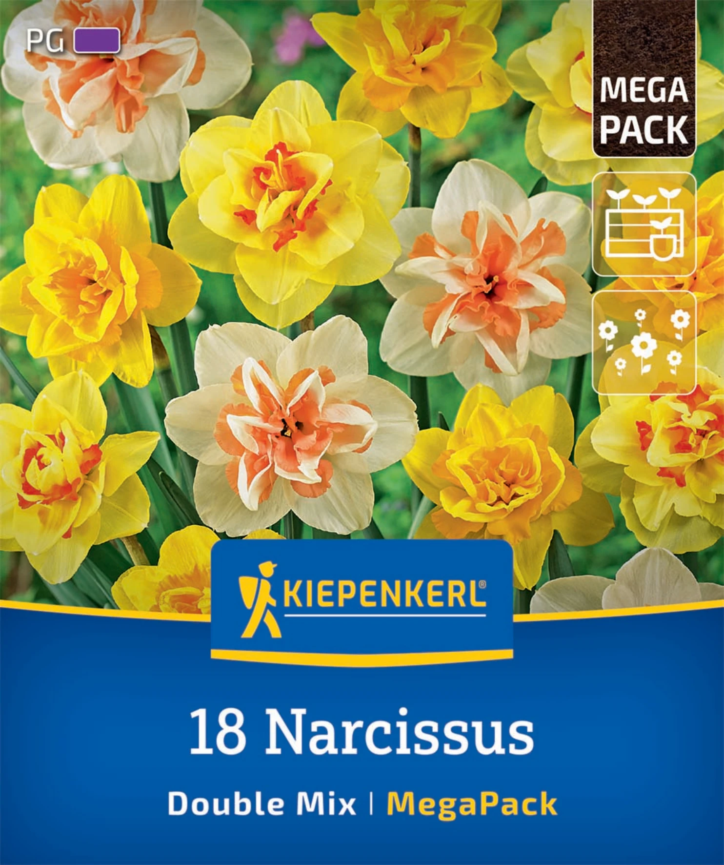 Mega-Pack Gefüllte Narzissen Mischung