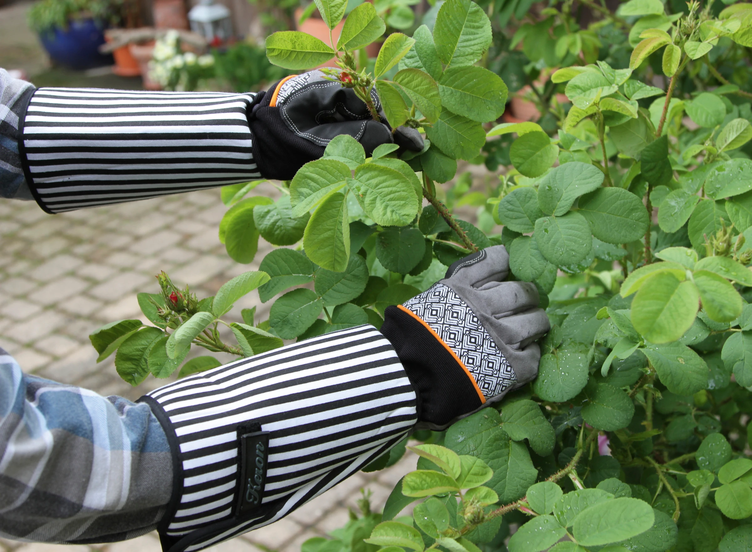 Rosenhandschuh Gr. 10/XL Rose Garden, lange Stulpe