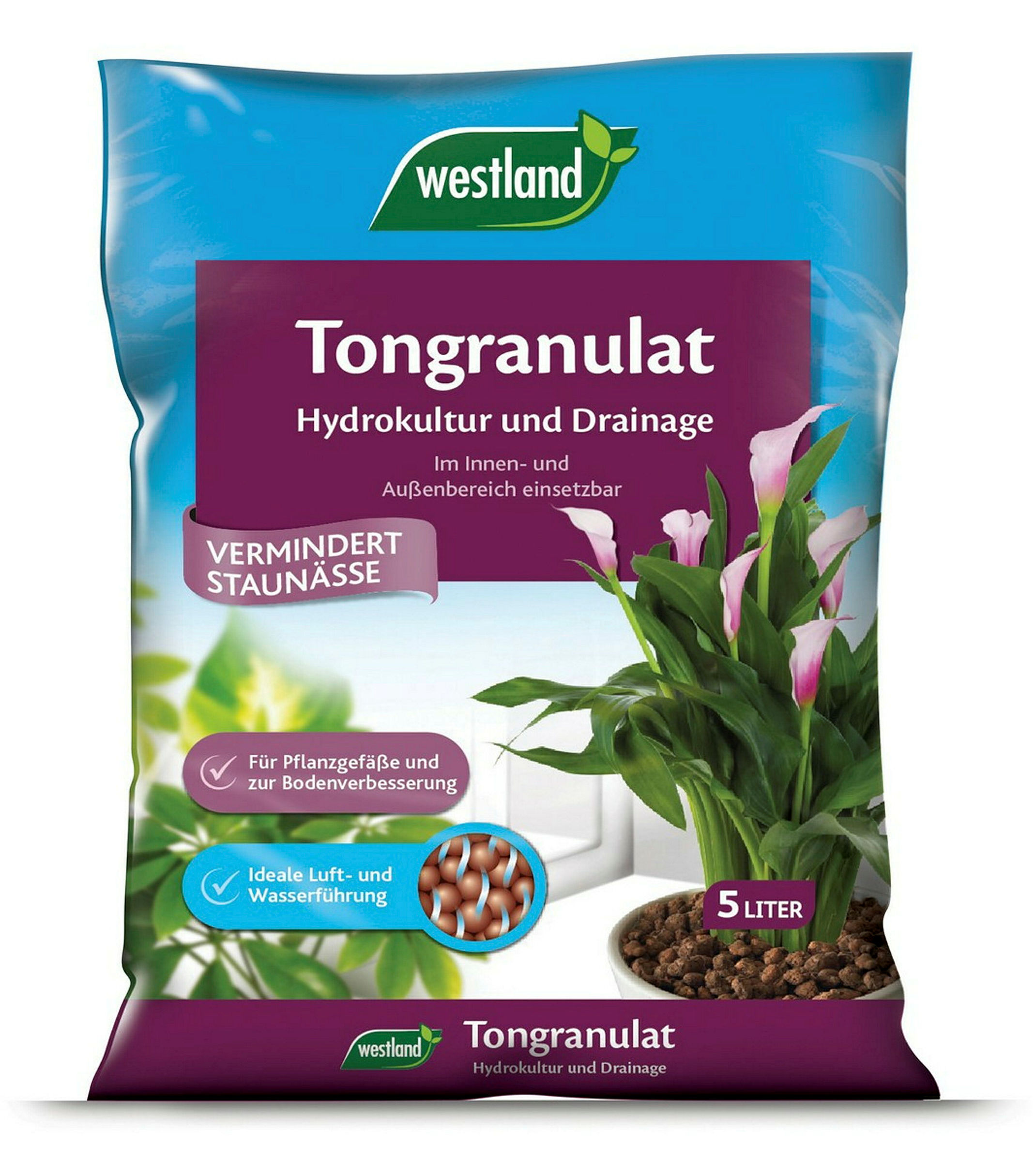 Westland Tongranulat5 L