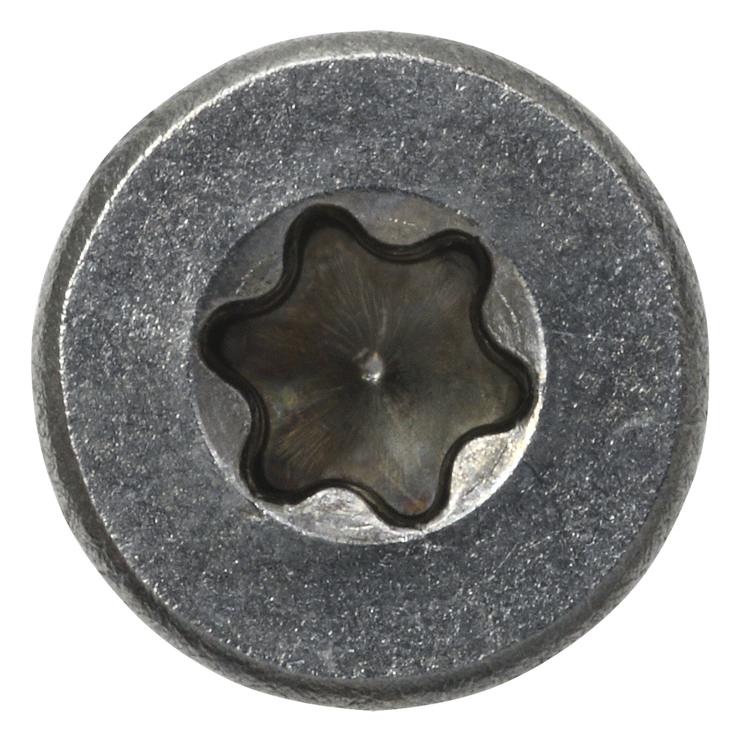SP Innenvielzahnschraube A2 TX25, m.Bit, 110 St., 5,0 x 60