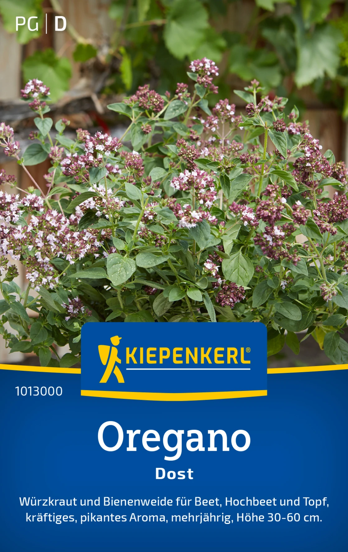 Kiepenkerl Oregano Dost