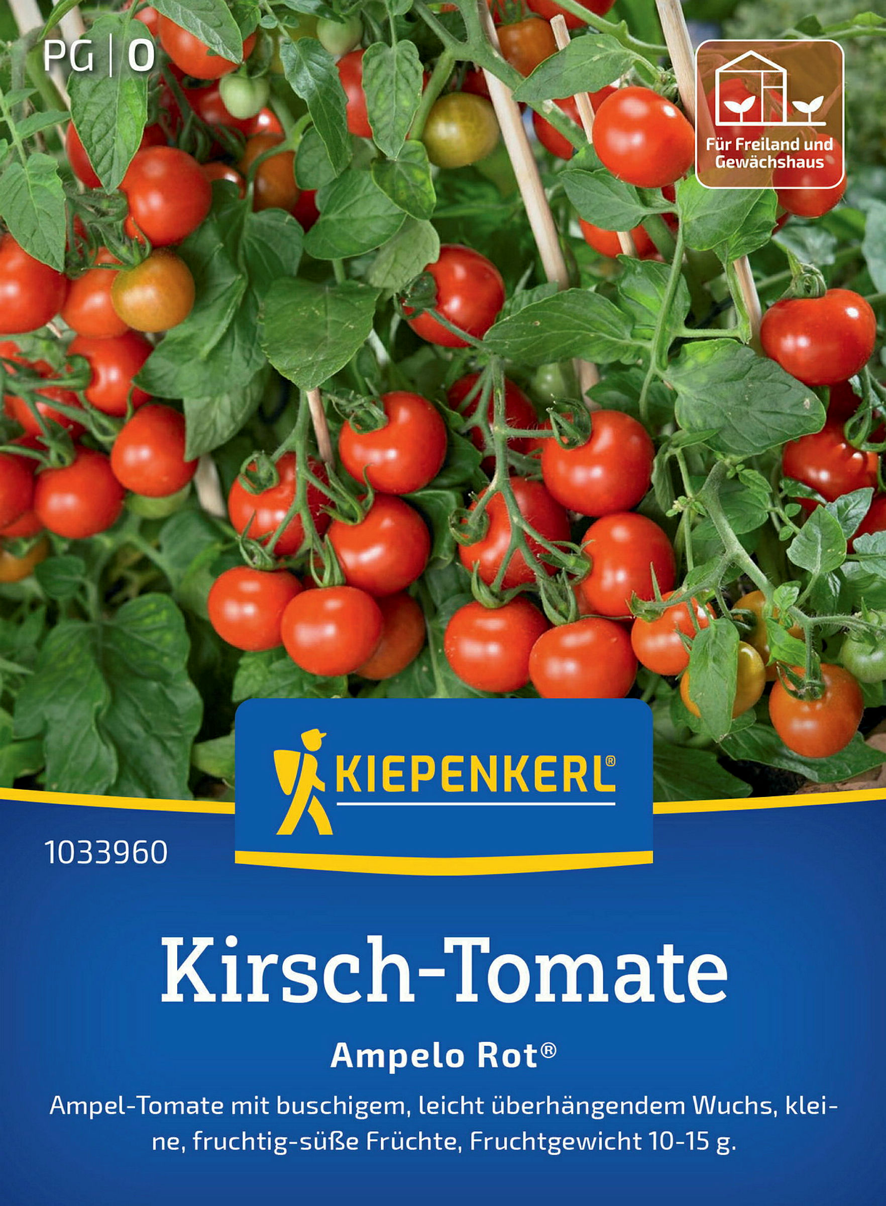 Kiepenkerl Kirsch-Tomate Ampelo Rot®, F1