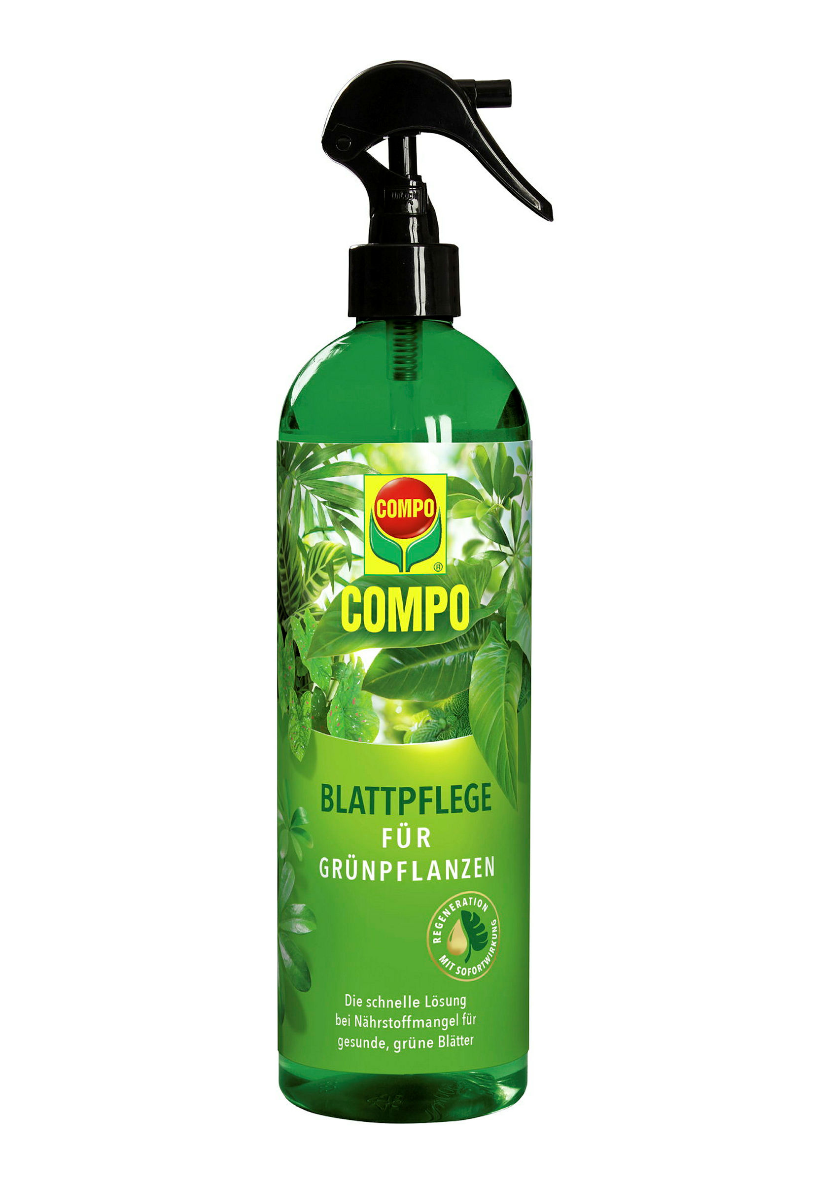 COMPO Blattpflege fürGrünpflanzen, 500 ml