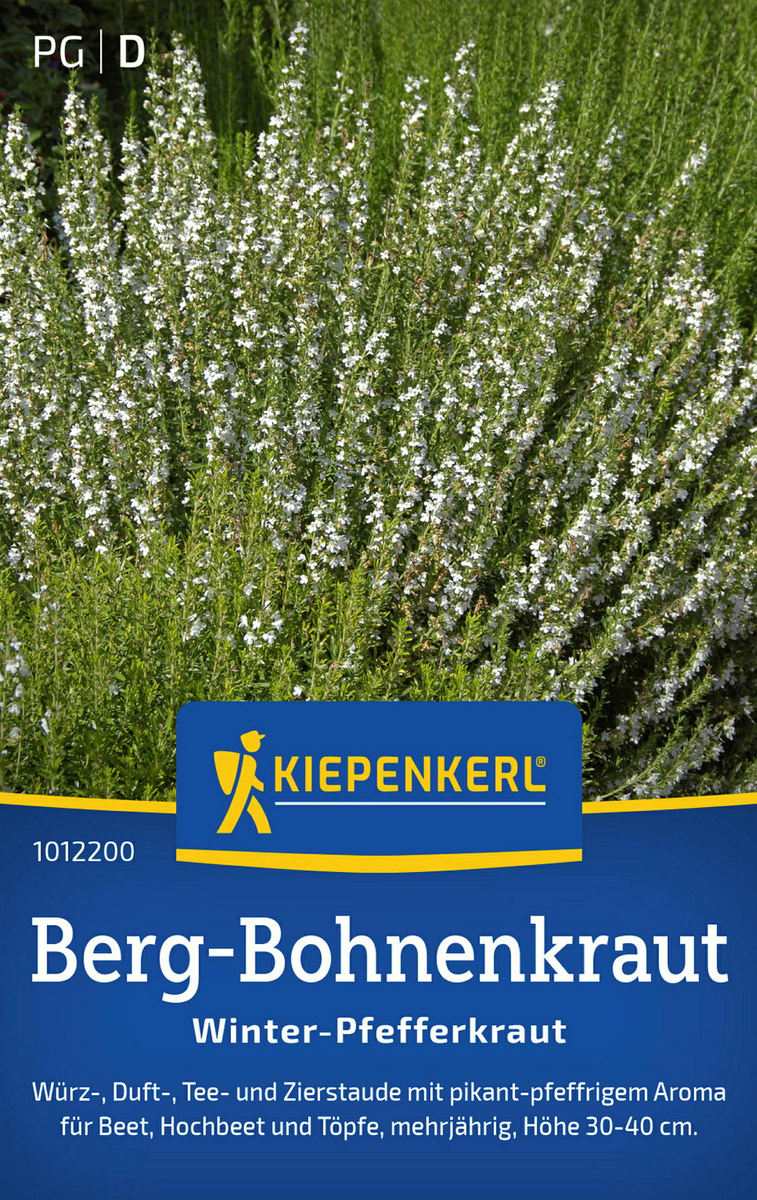 Kiepenkerl Berg-Bohnenkraut Winter-Pfefferkraut