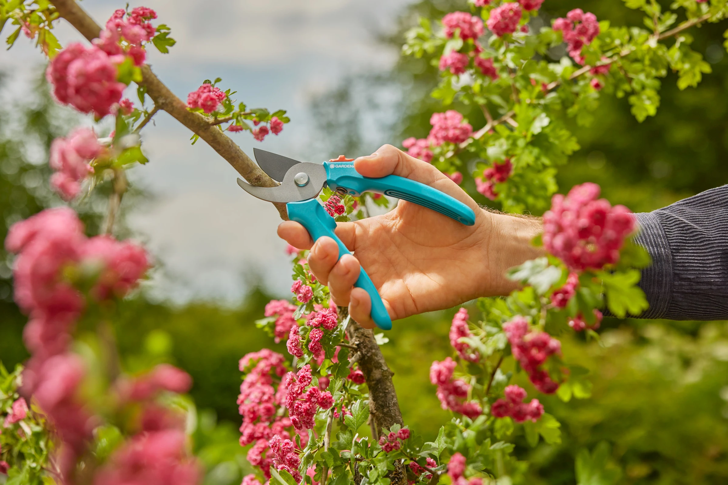 GARDENA Astschere EasyCut L Display Set, Bypass-Schneidprinzip