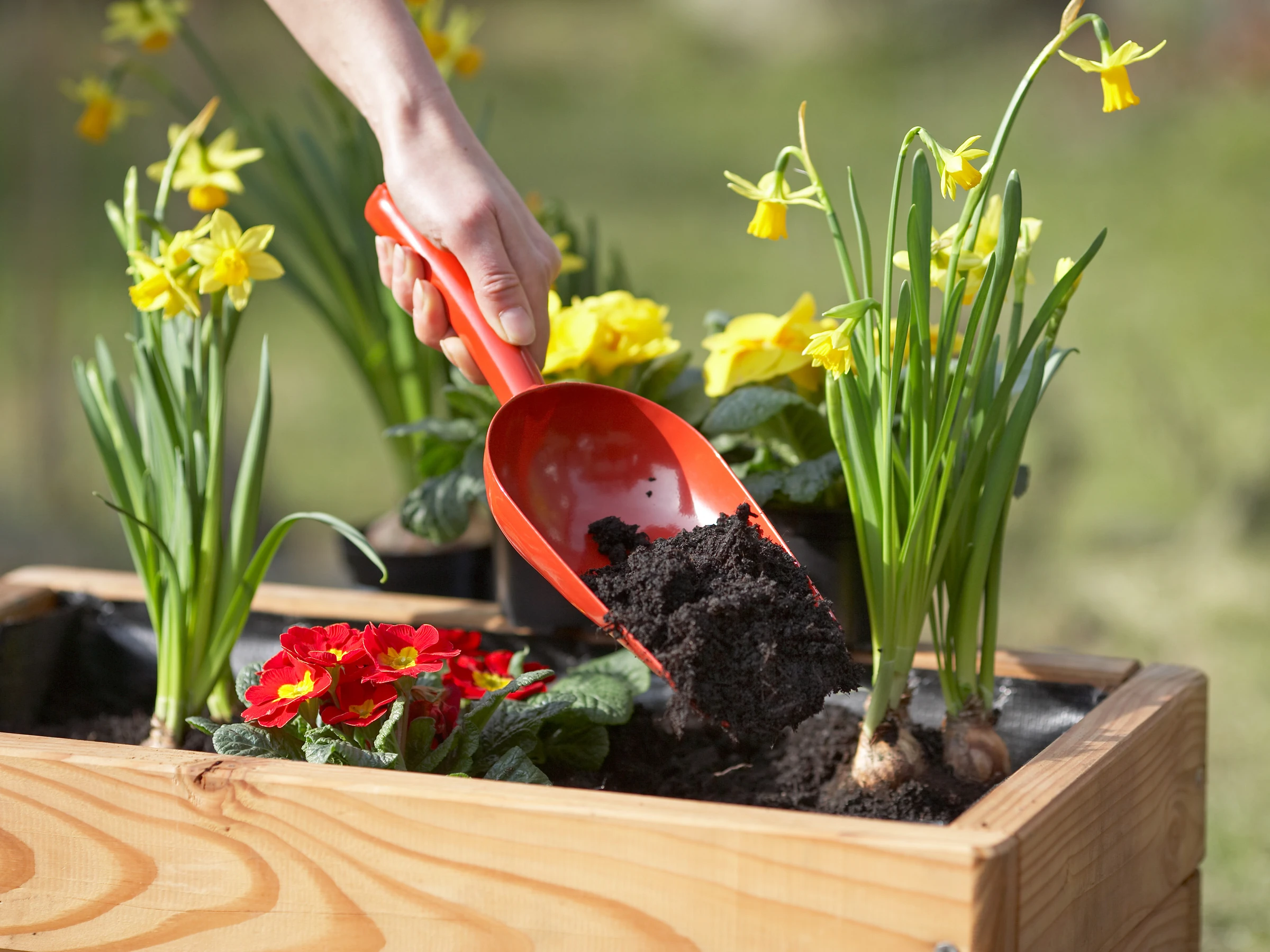 Blumenkelle Metall XXL
