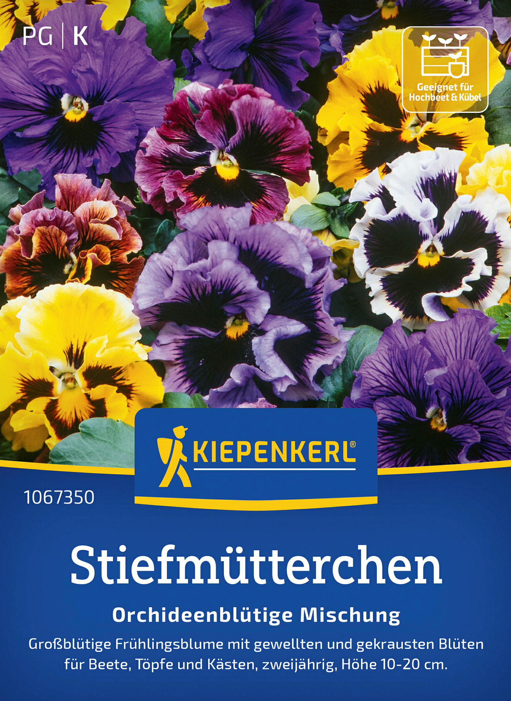 Kiepenkerl Stiefmütterchen Orchideenblütige Mischung