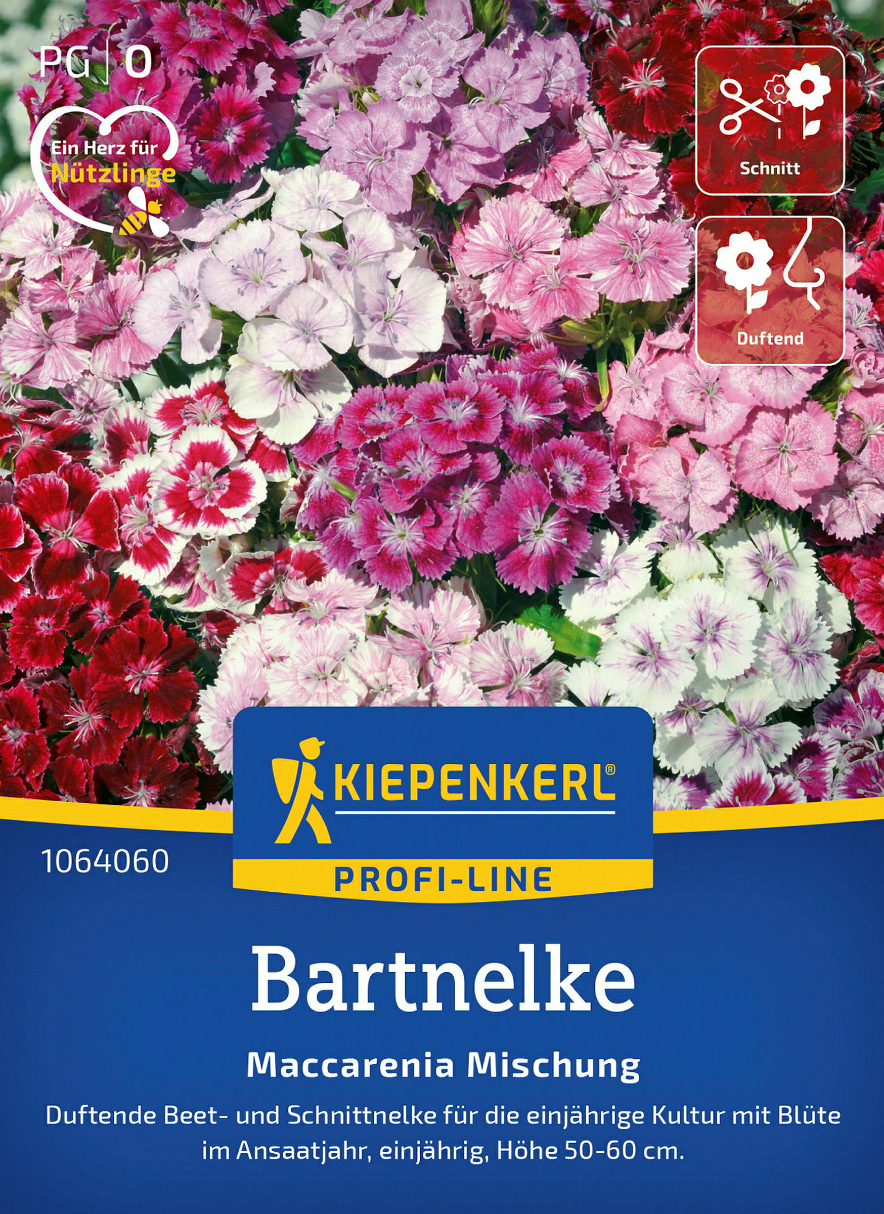 Kiepenkerl Bartnelke Maccarenia Mischung