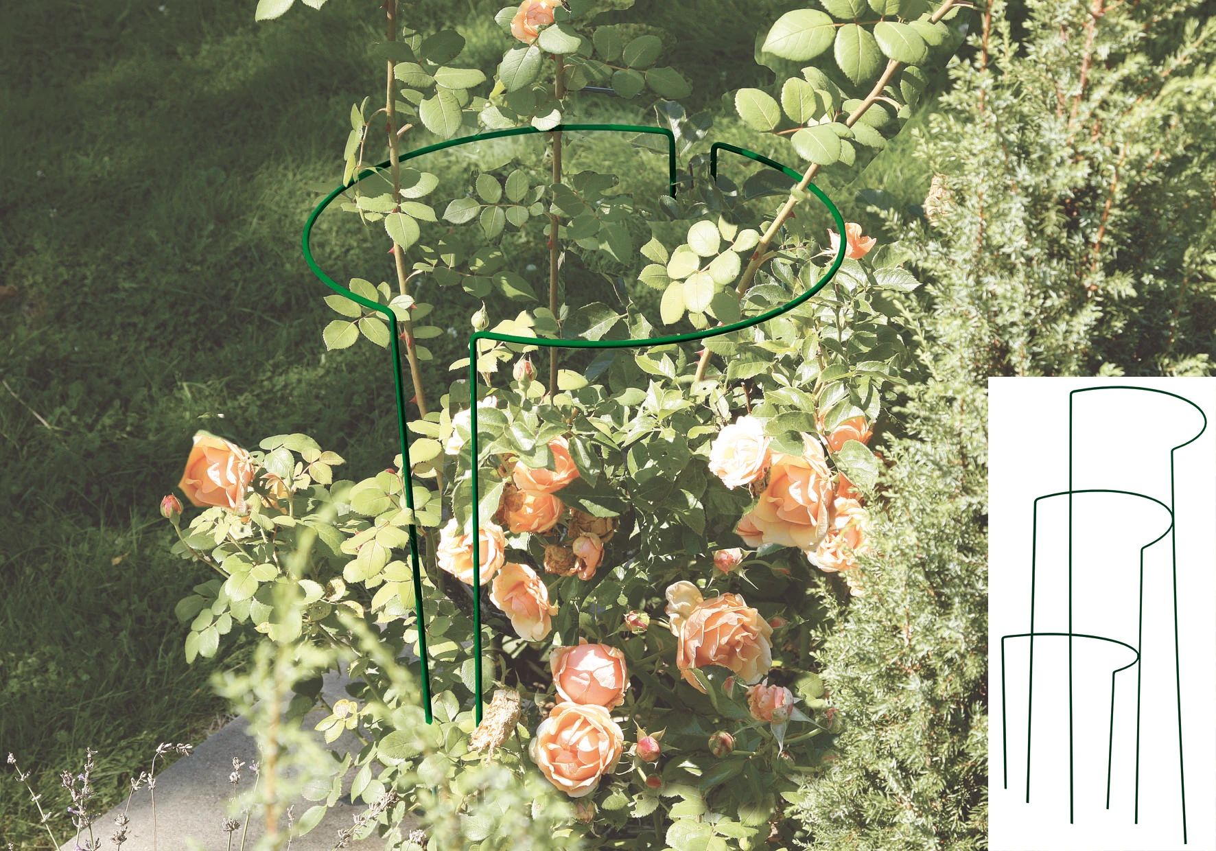 Busch- / Strauchstütze Classic, H:100cm,Stahldr,pulvbesch,grün