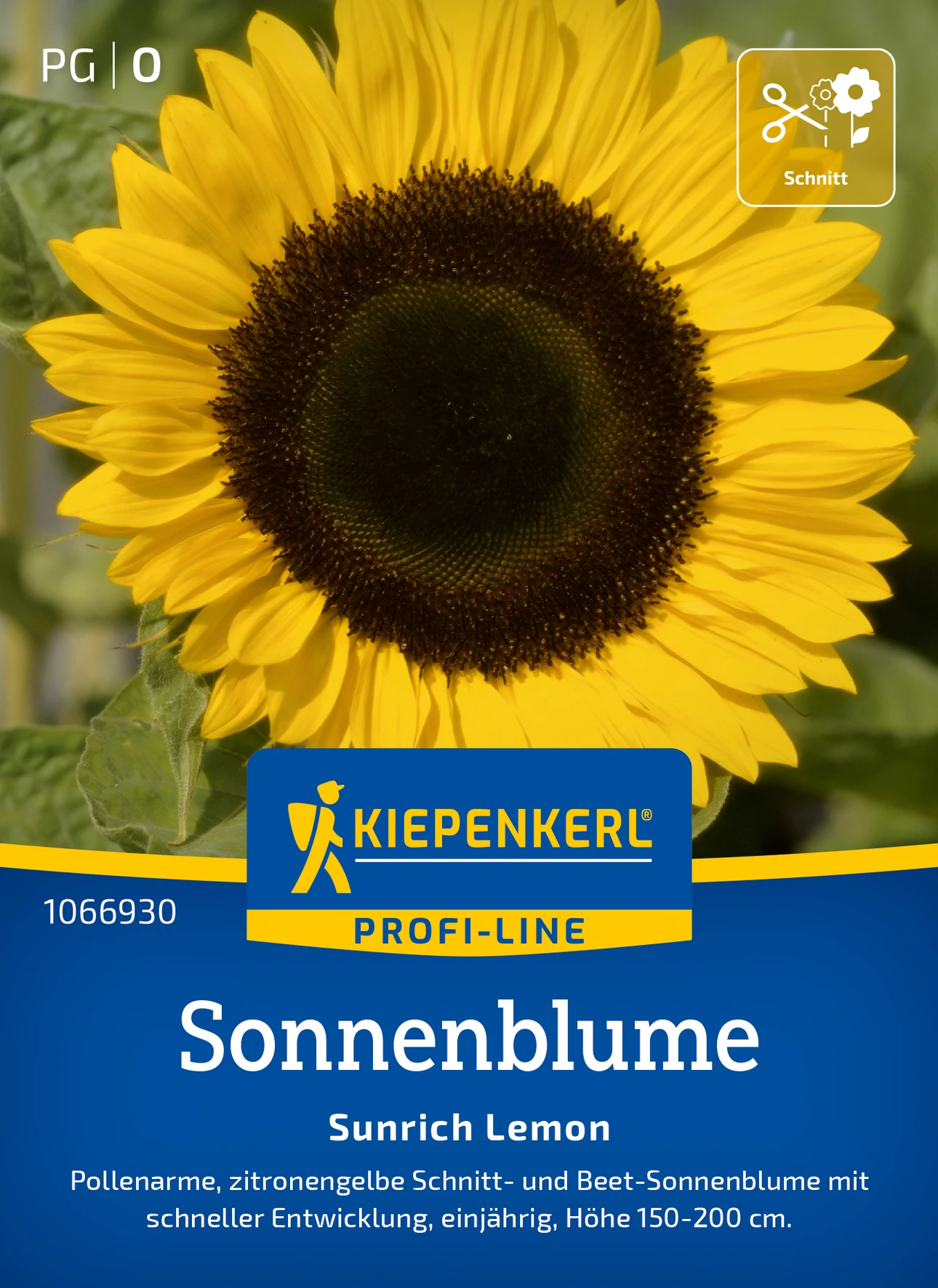 Kiepenkerl Sonnenblume Sunrich Lemon, F1
