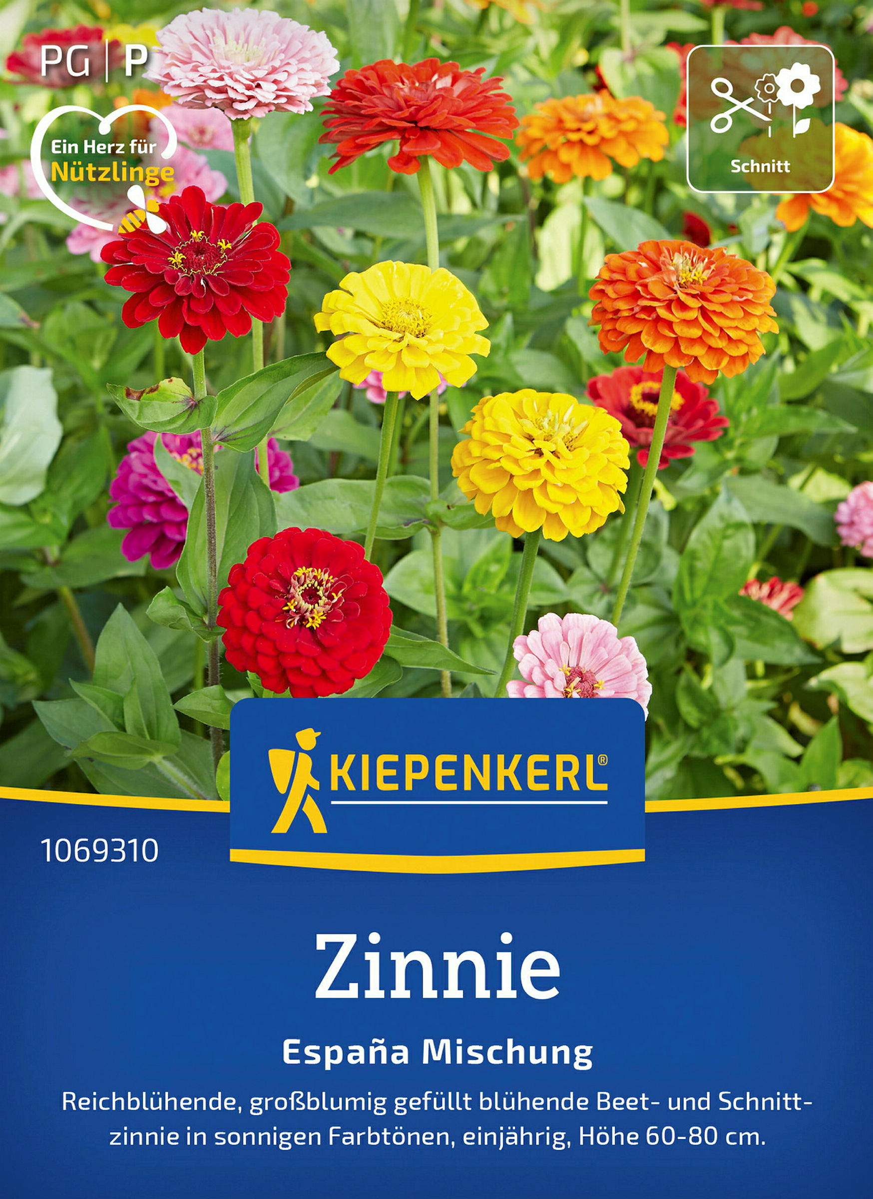 Kiepenkerl Zinnie Espana Mischung