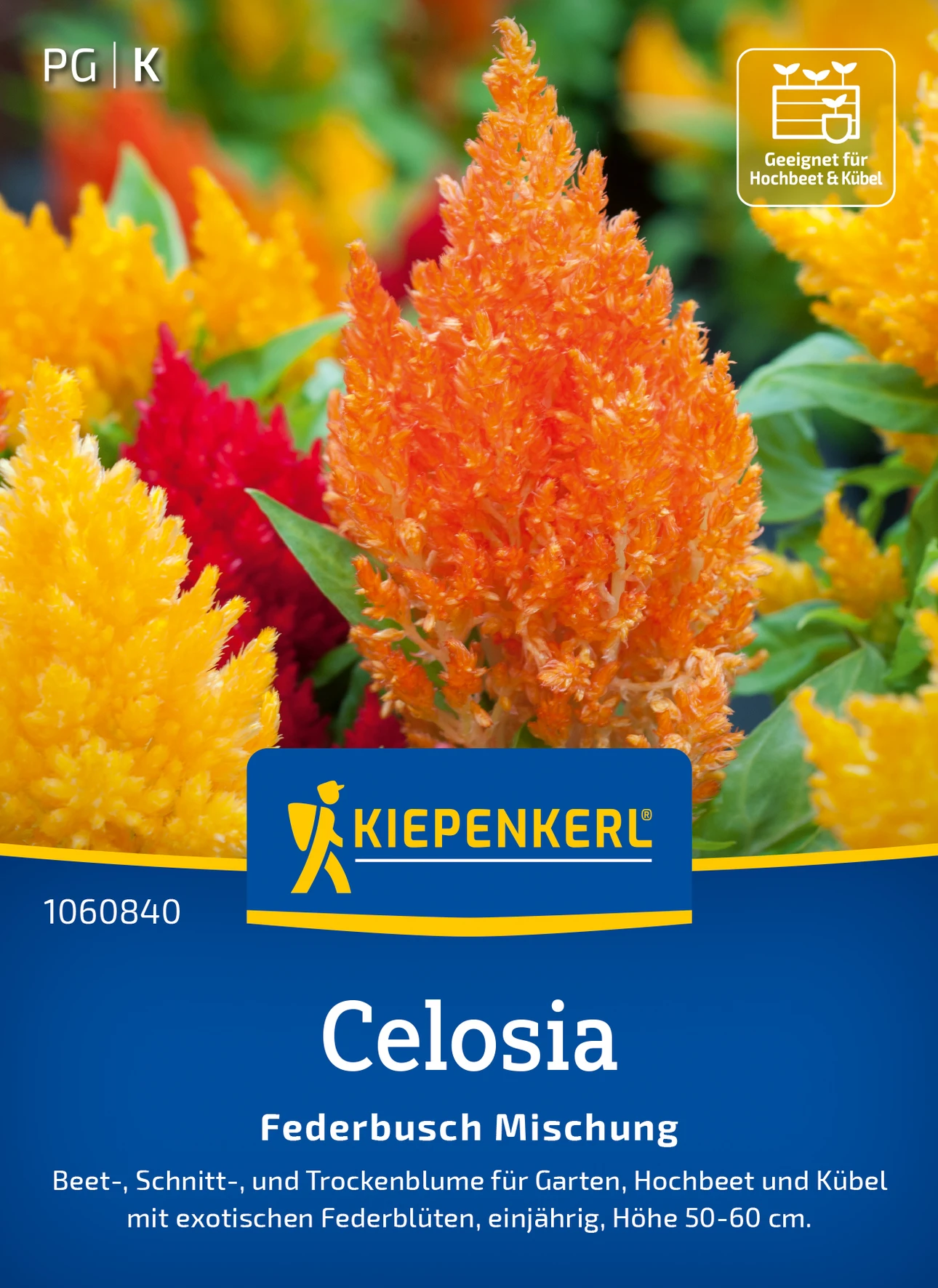 Kiepenkerl Celosia Federbusch Mischung
