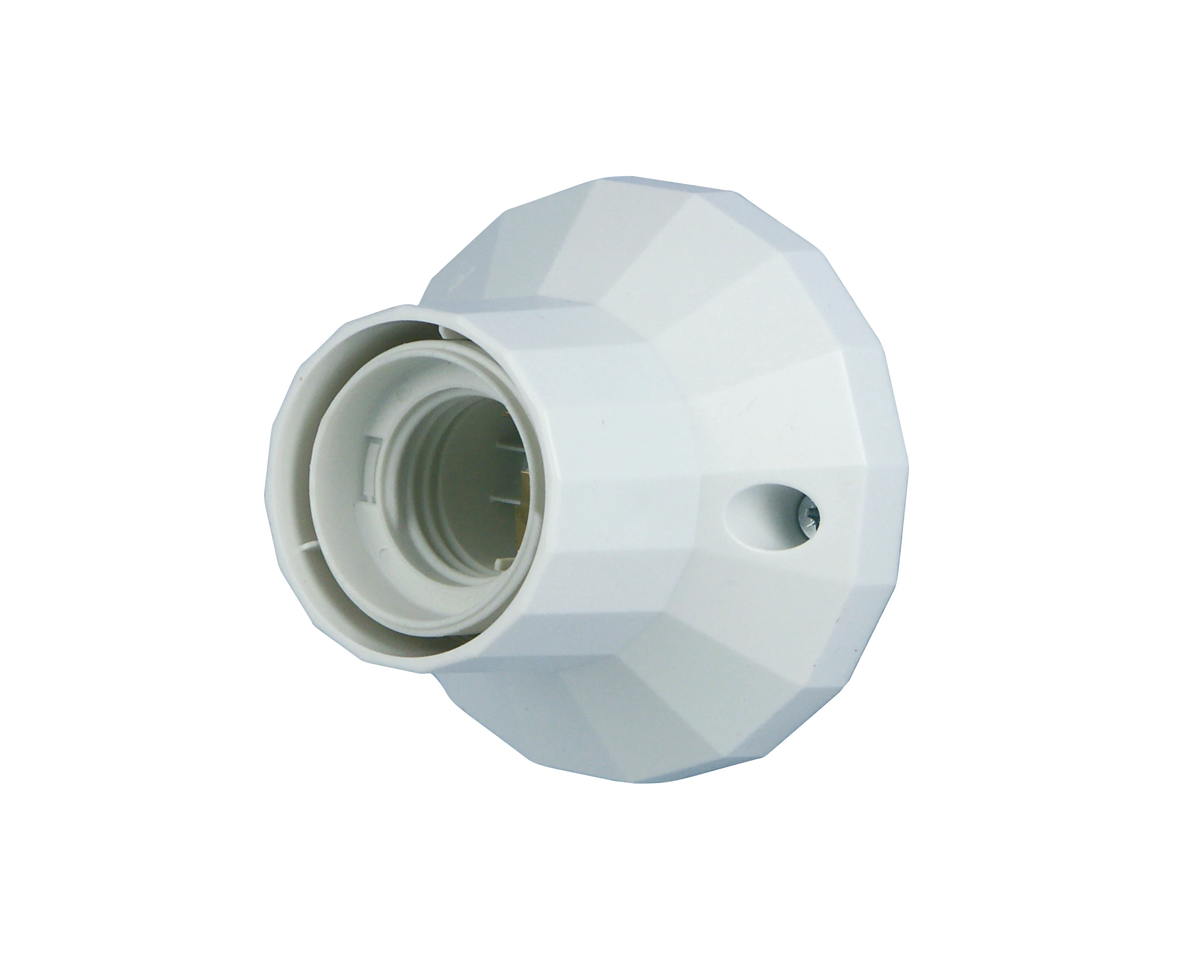 Wand- und Deckenfassung 75W ws