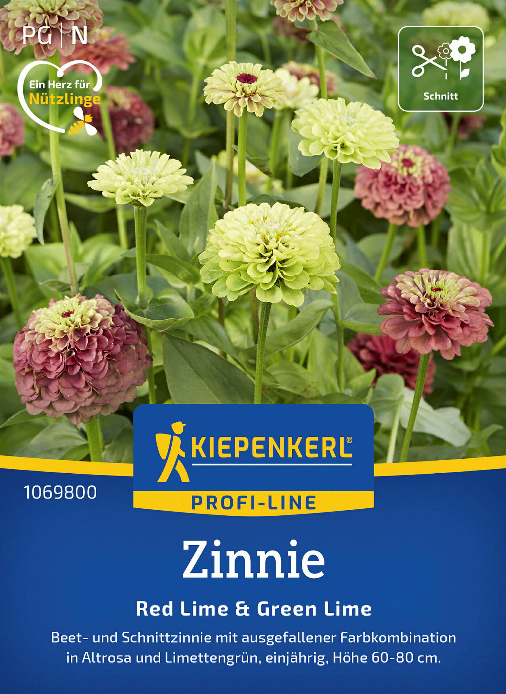 Kiepenkerl Zinnie Red Lime + Green Lime
