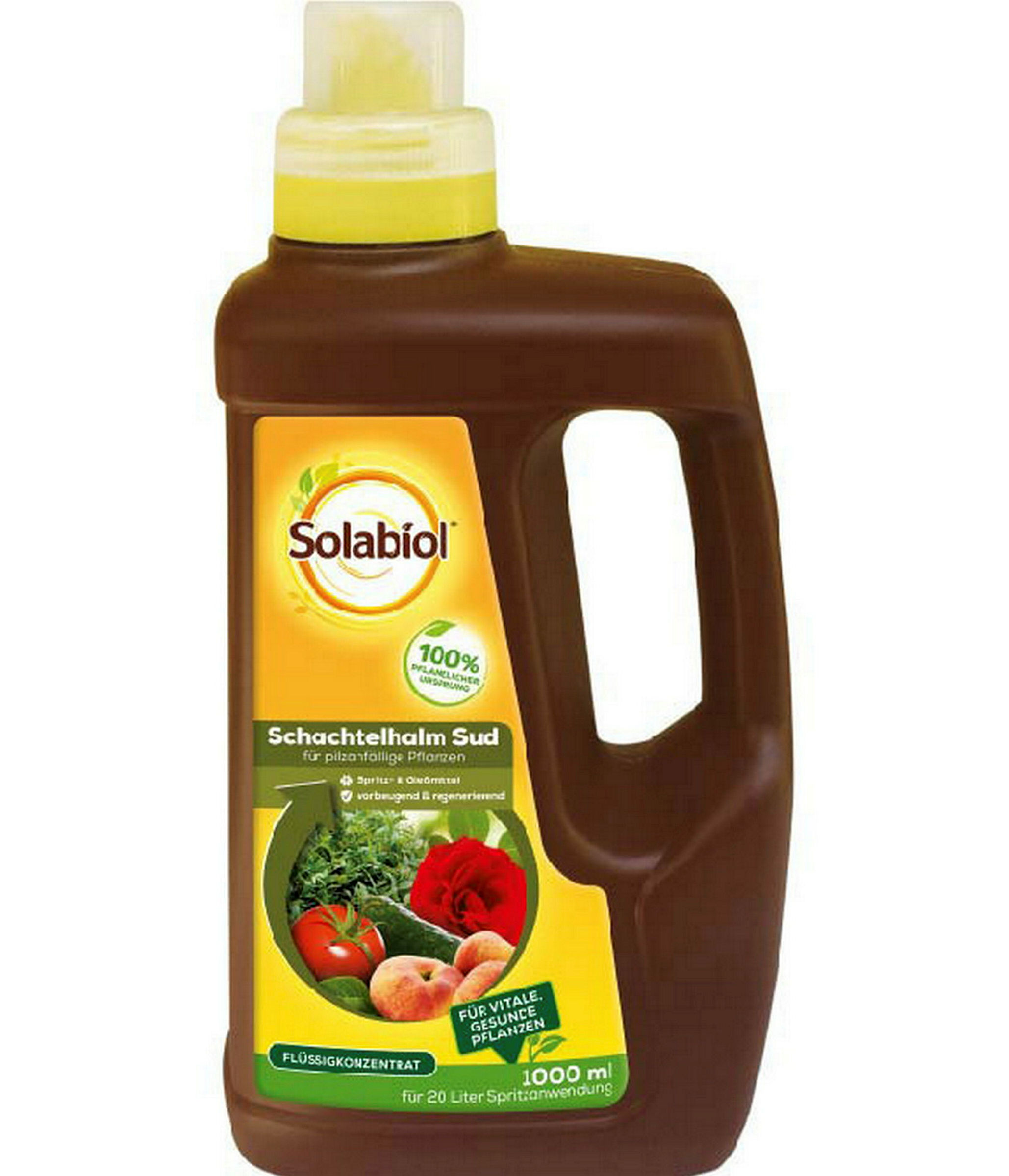 Solabiol Schachtelhalm Sud1 L