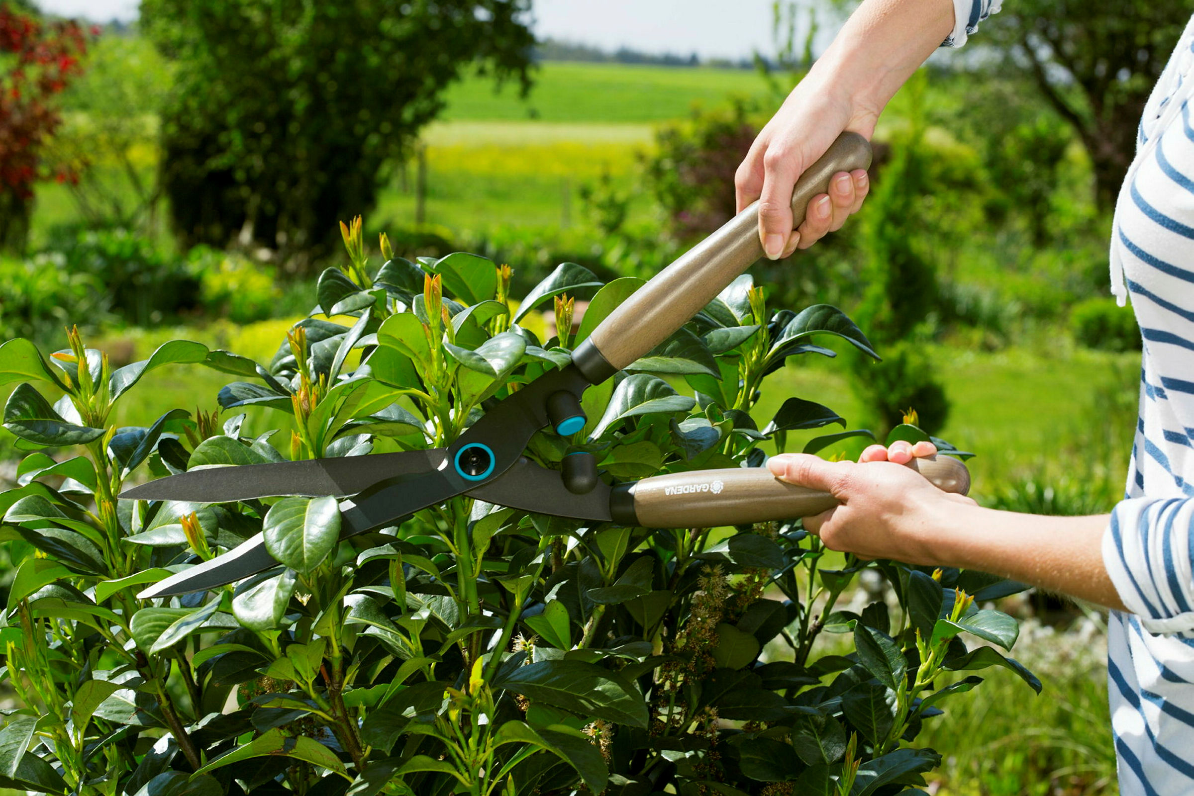 GARDENA Heckenschere NatureCut mit Gartenschere