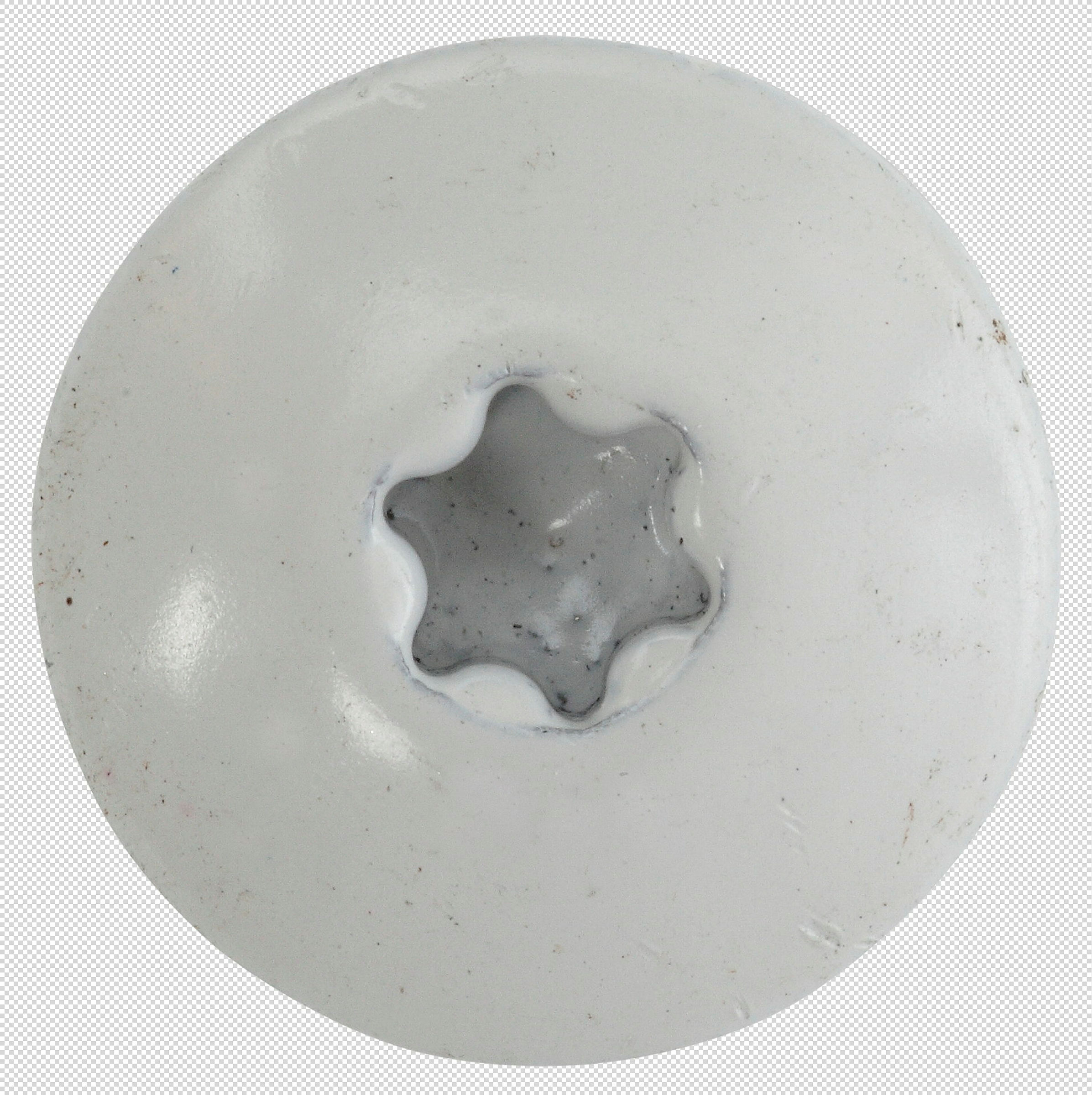 Fassadenschraube 5,5 x 45, A4, RAL 9010 weiß